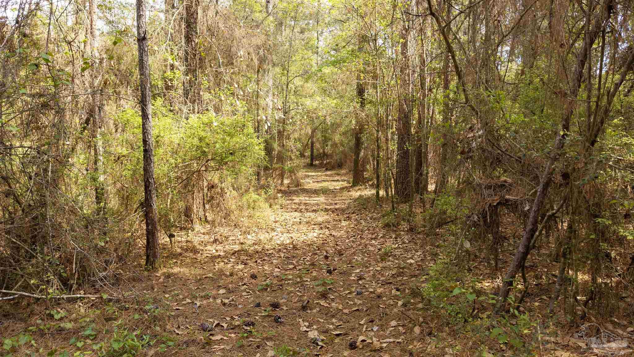 TBD Corley Rd
