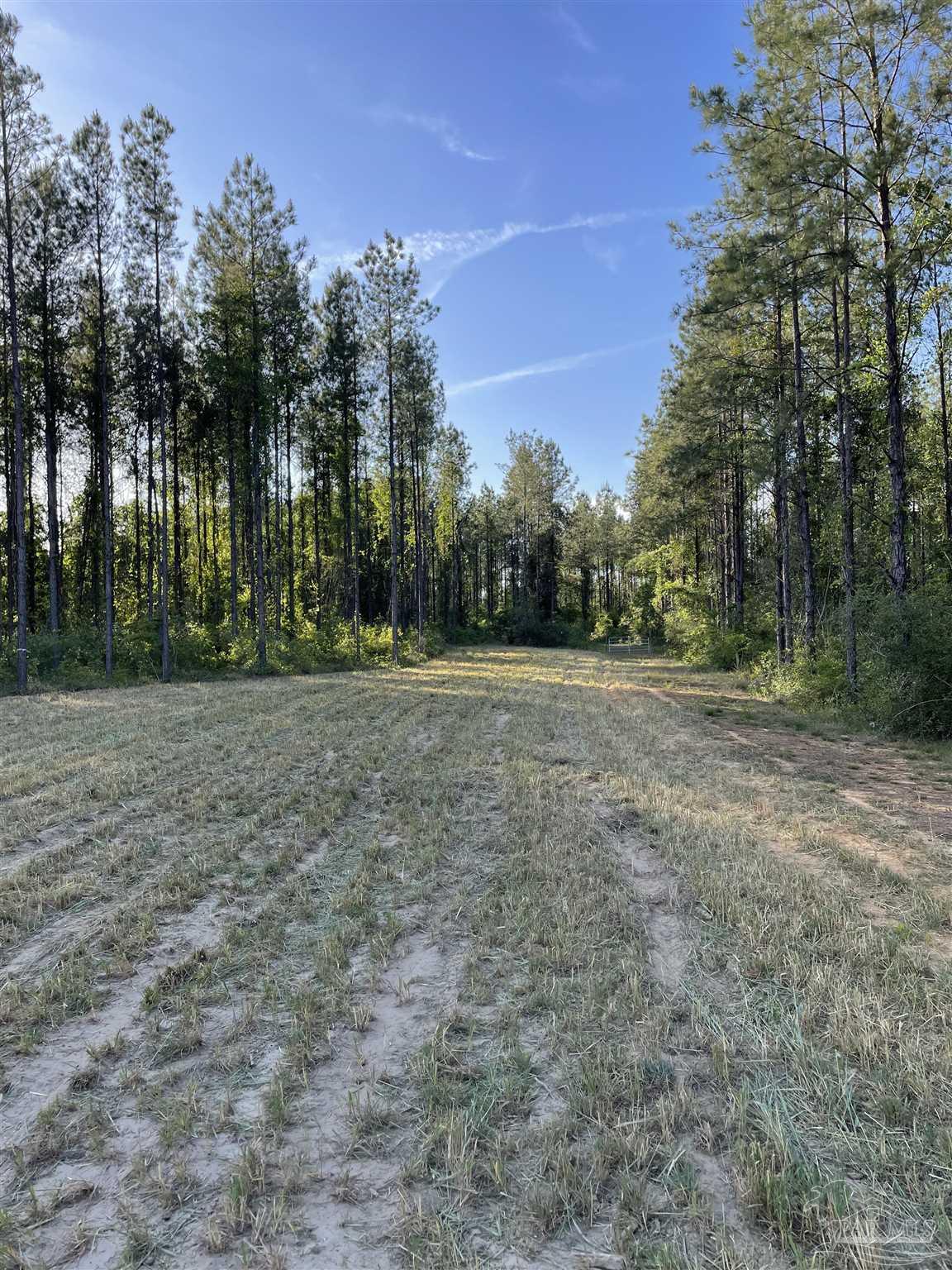 6950 Luth Rd