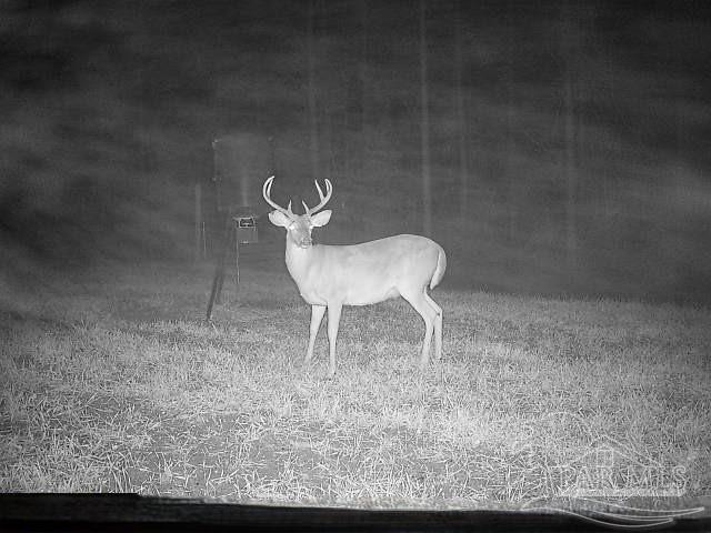 6950 Luth Rd