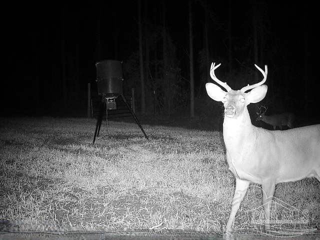 6950 Luth Rd