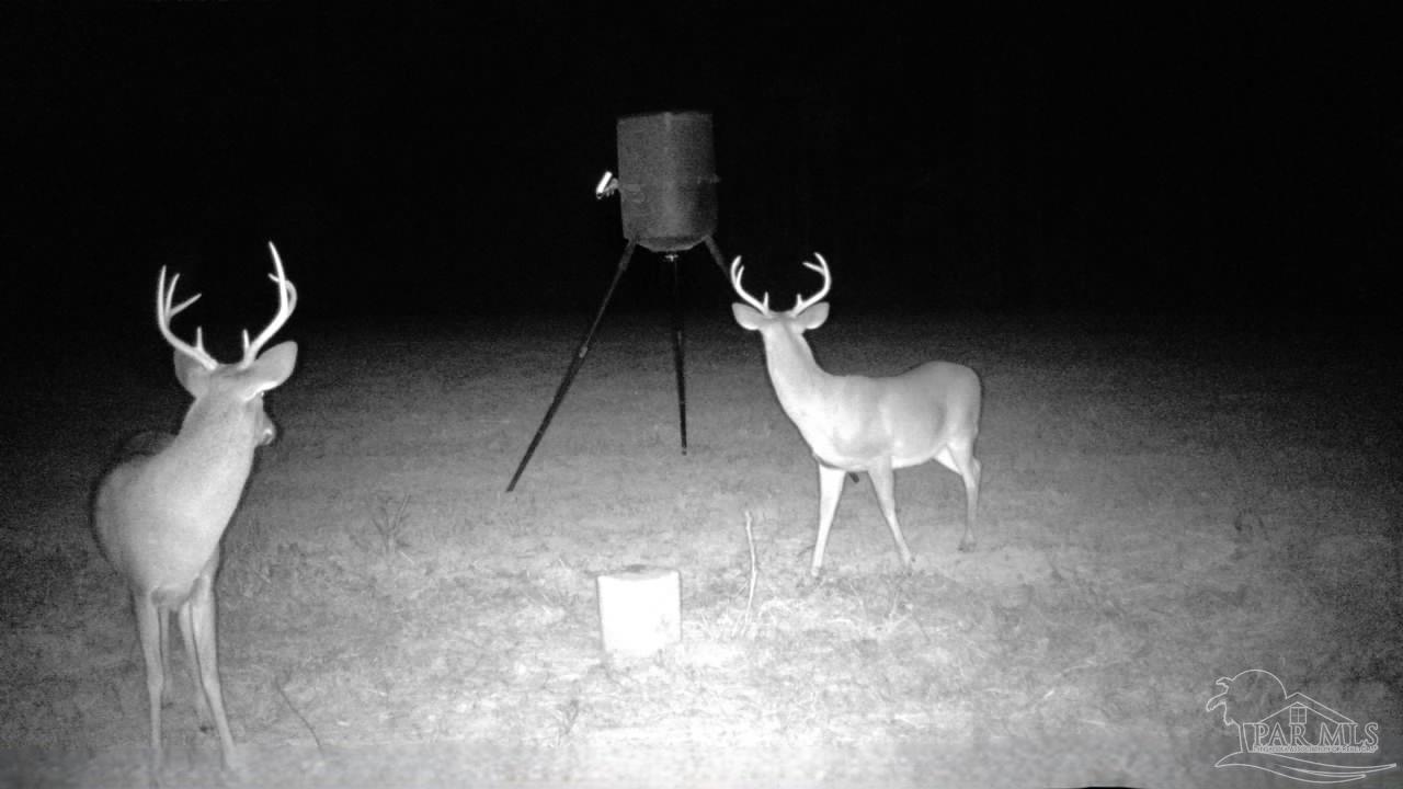 6950 Luth Rd