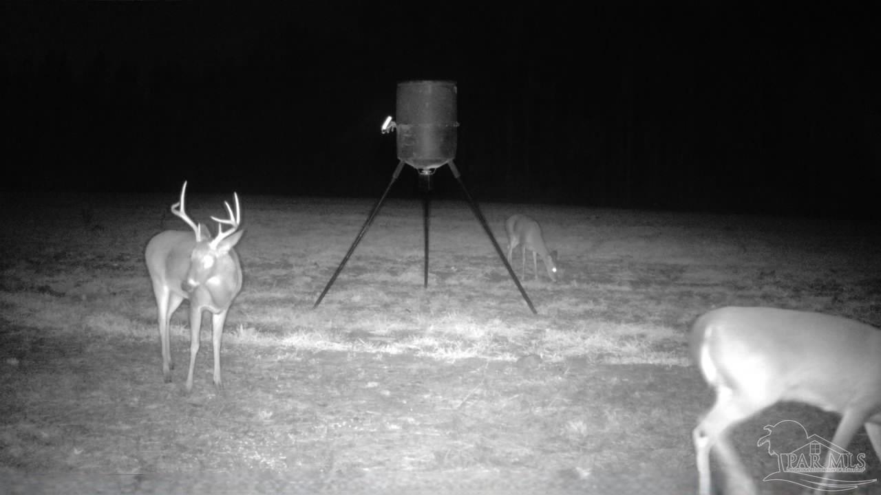 6950 Luth Rd