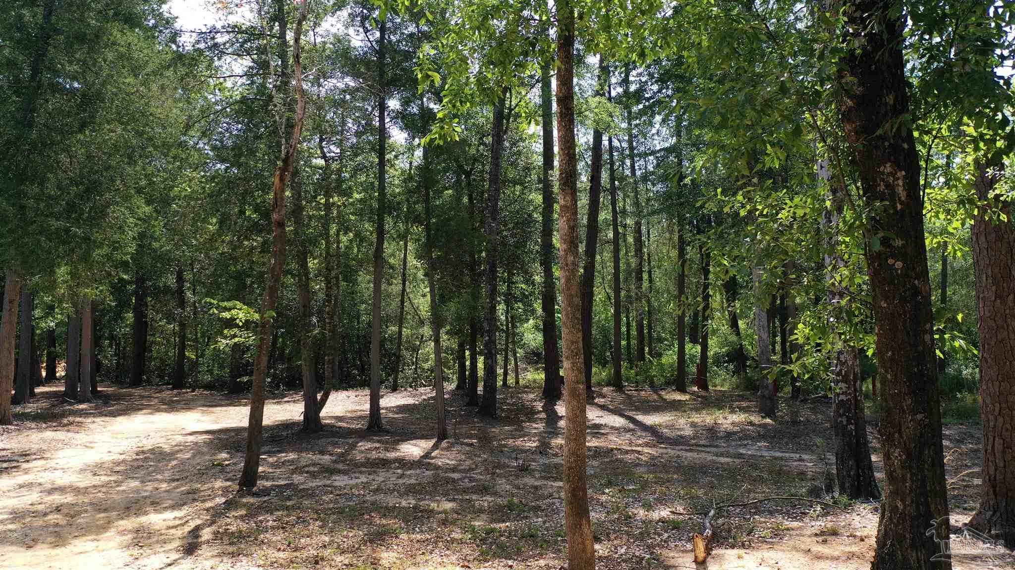 Lot 22 Creek Adventures Ln
