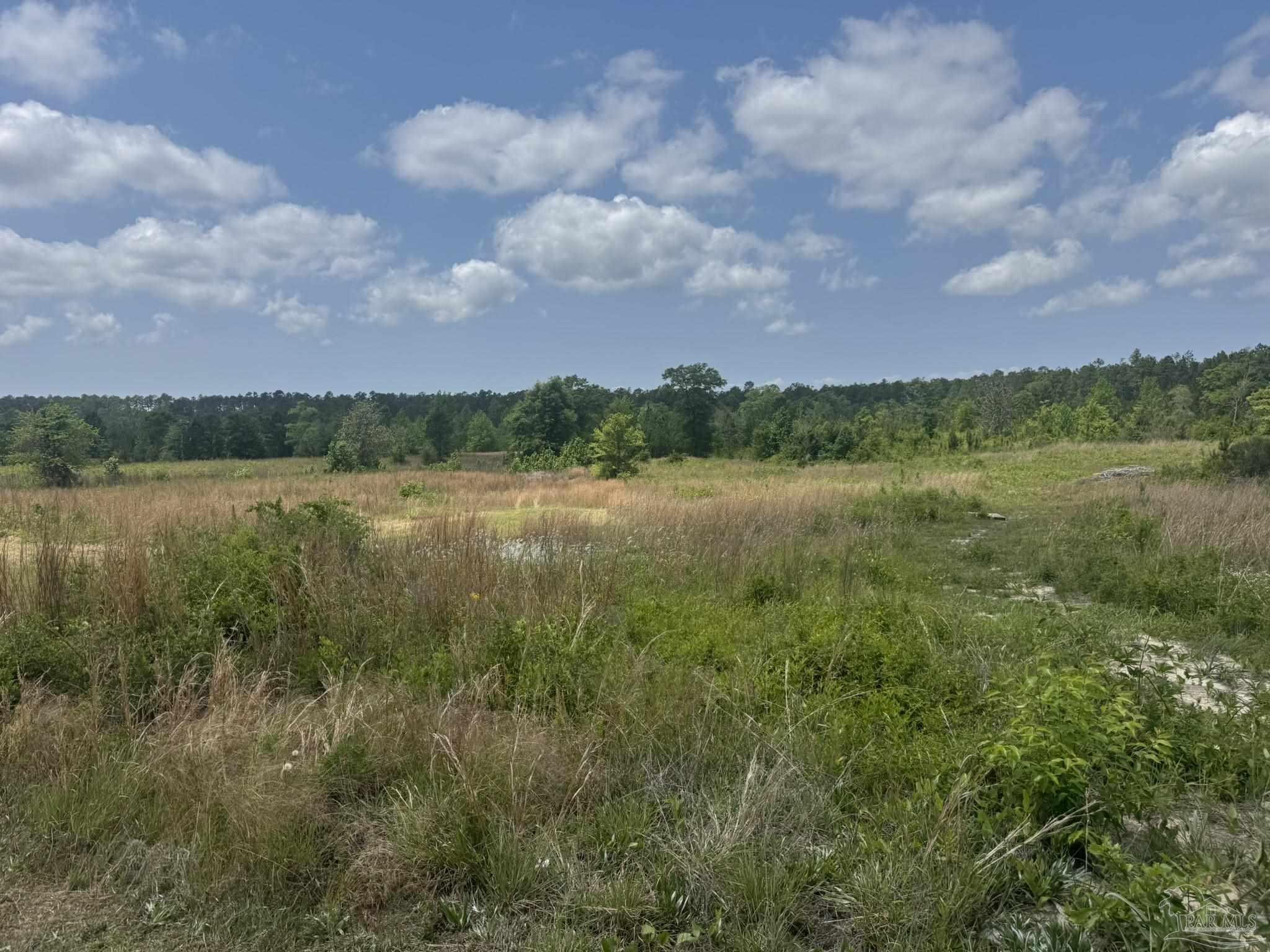 39207 State Highway 59