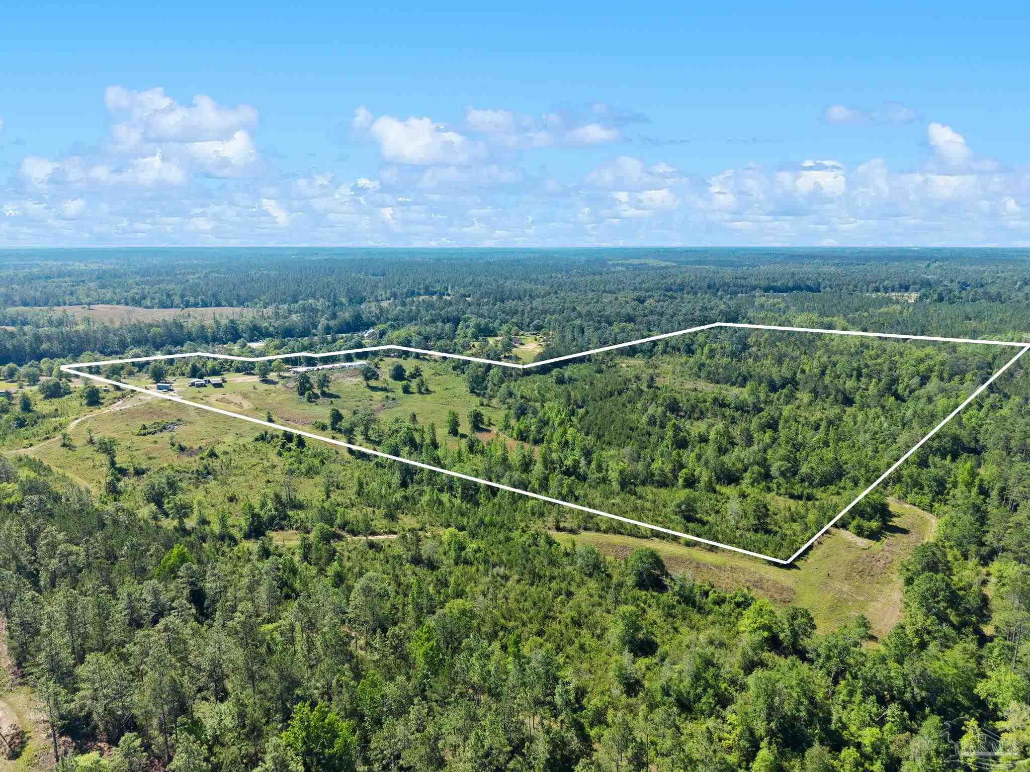 39207 State Highway 59