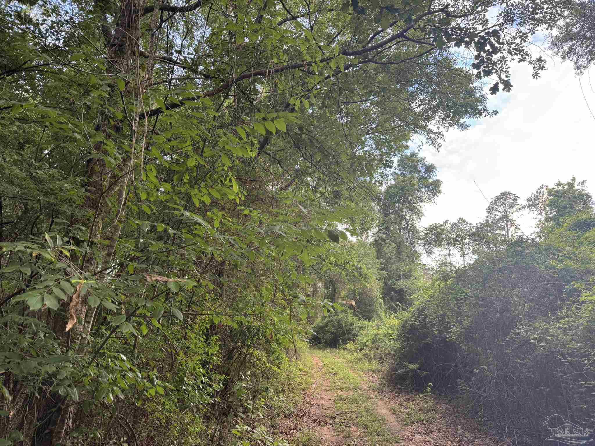 0 Old Stage Rd