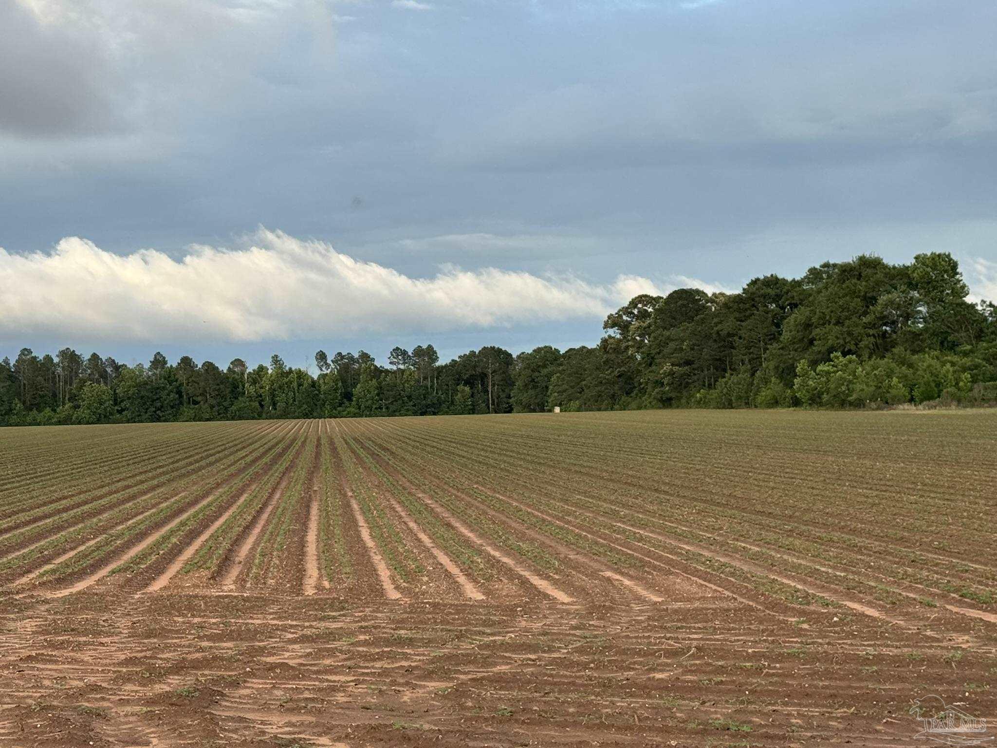 0 Old Stage Rd