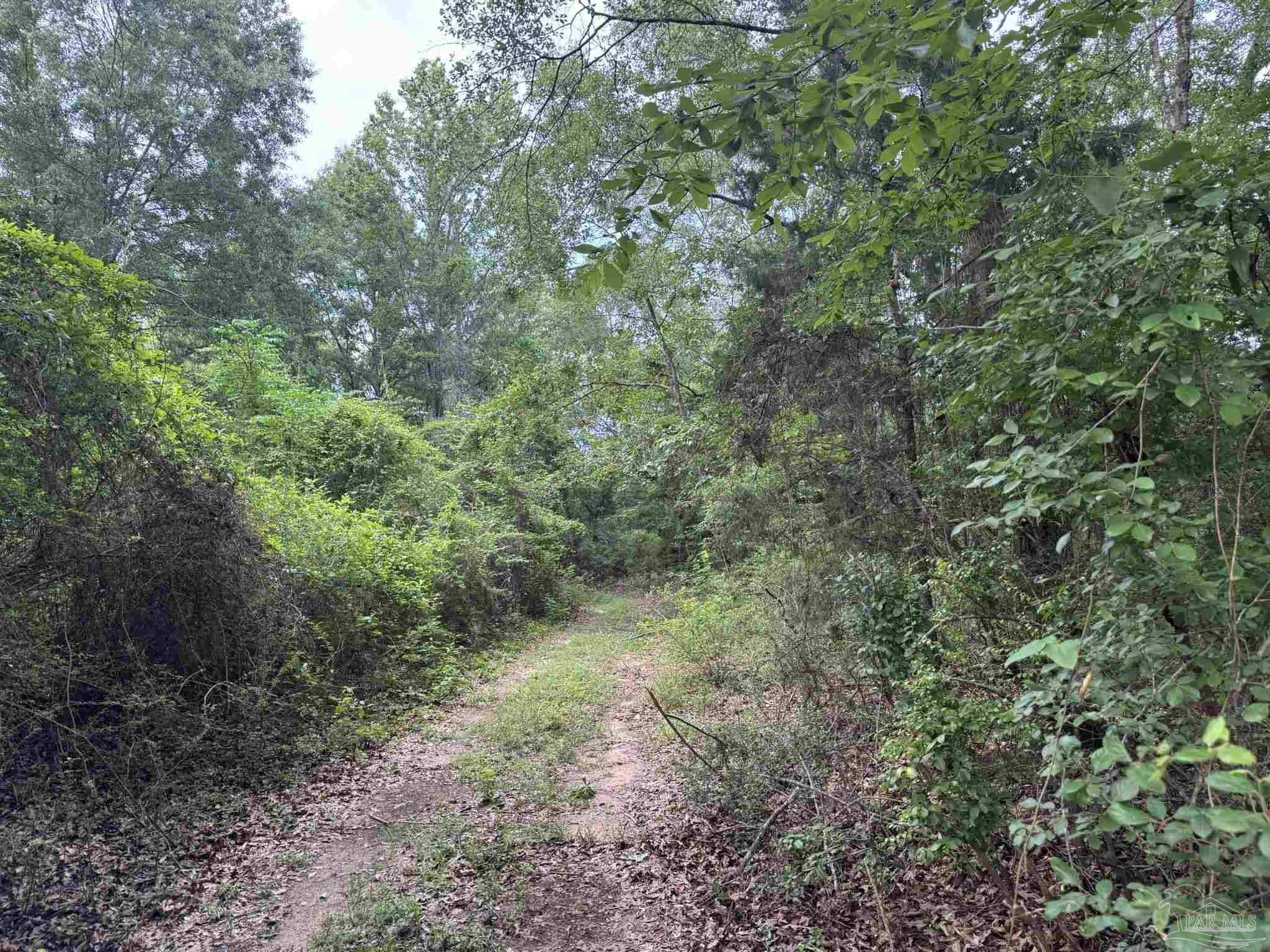 0 Old Stage Rd
