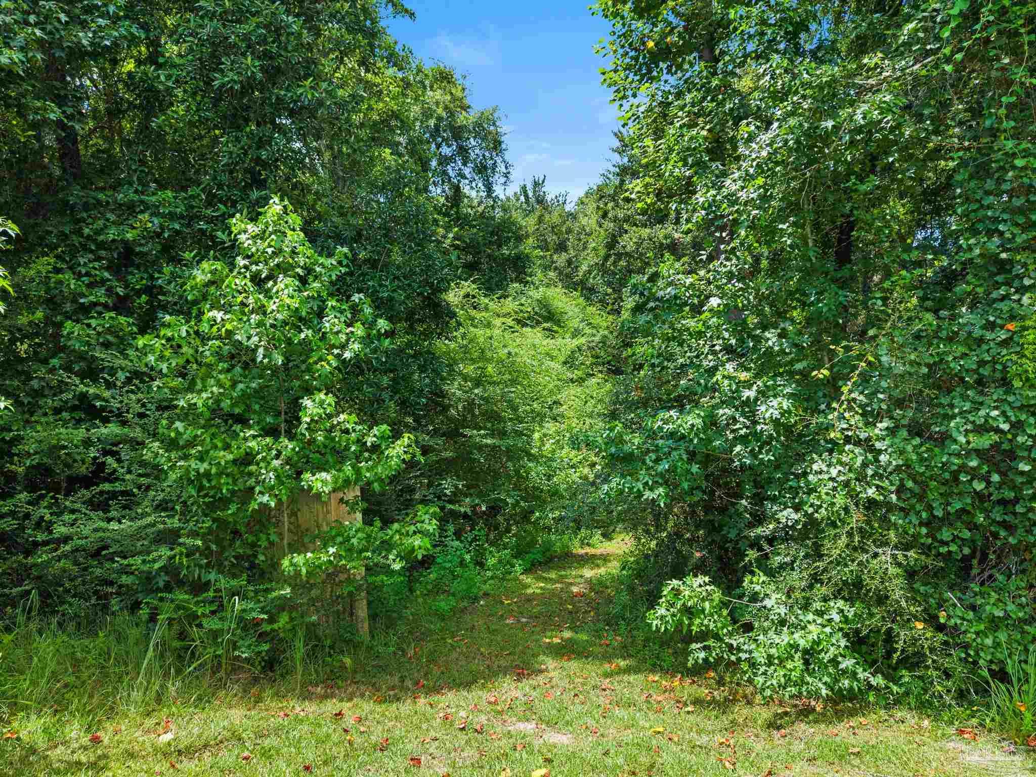 3470 Bell Fork Rd
