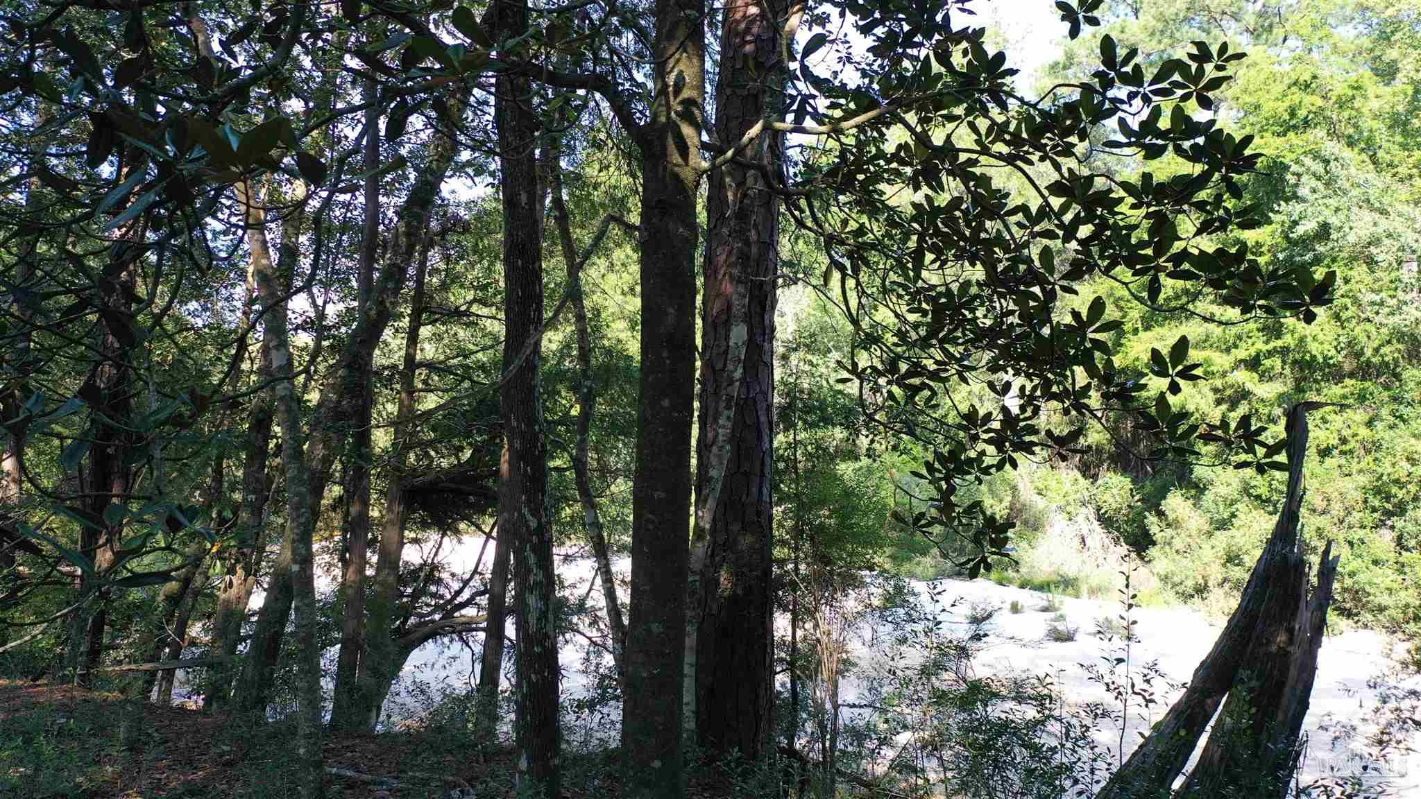 Lot 23 Creek Adventures Ln