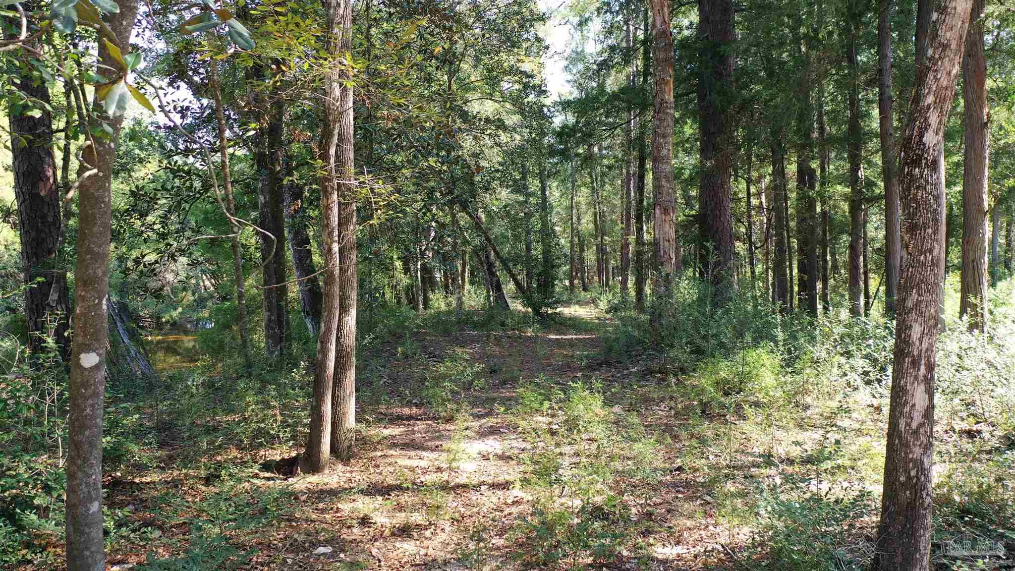 Lot 23 Creek Adventures Ln