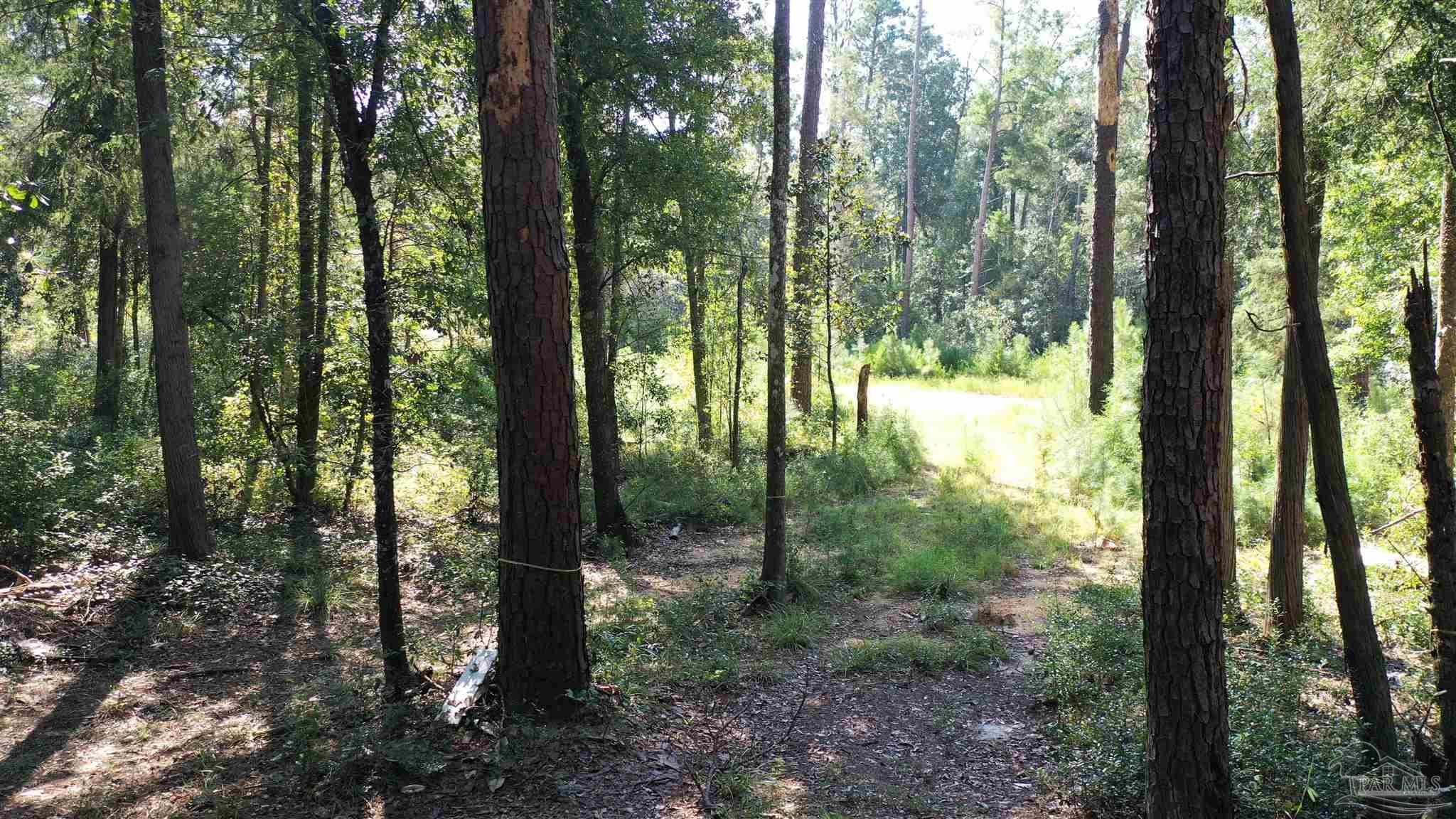 Lot 23 Creek Adventures Ln