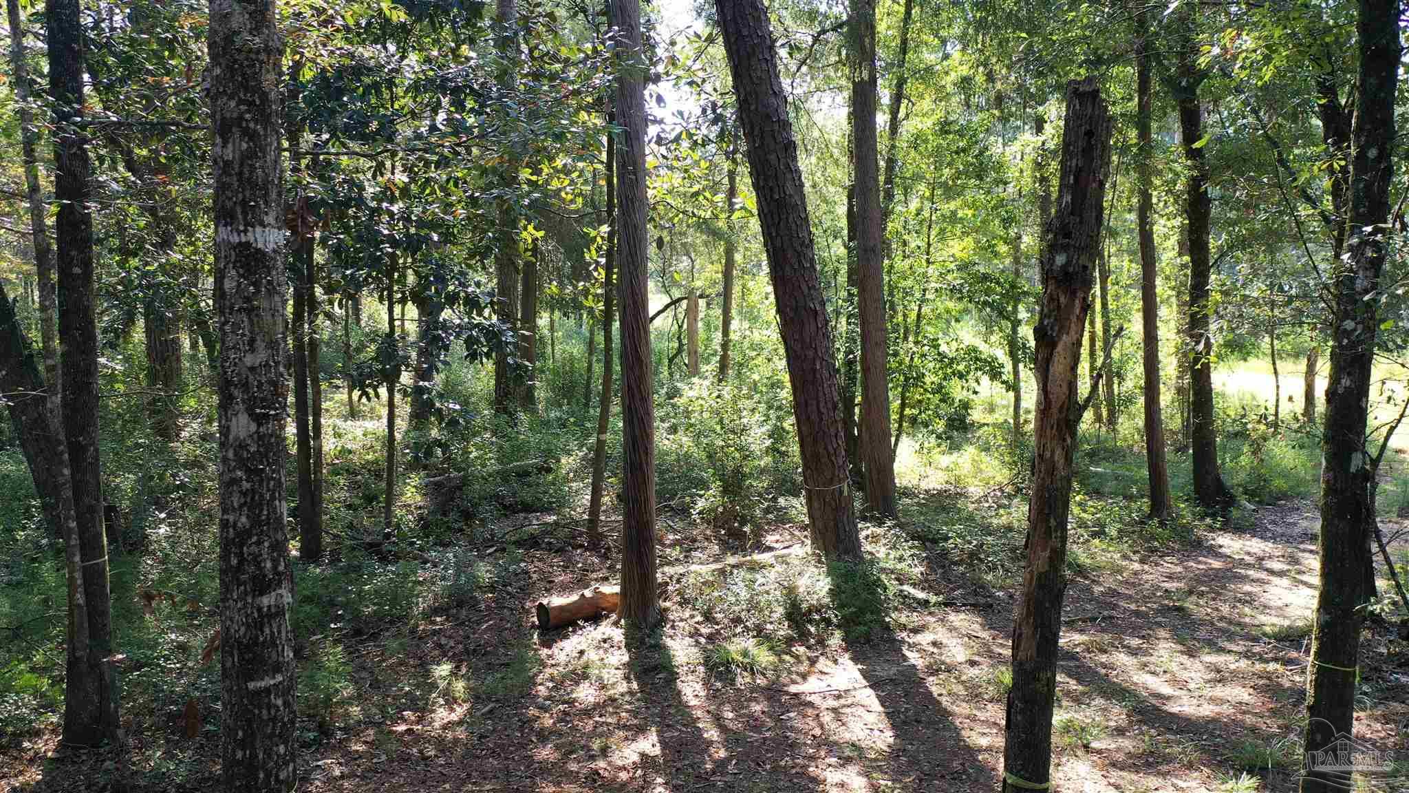Lot 23 Creek Adventures Ln