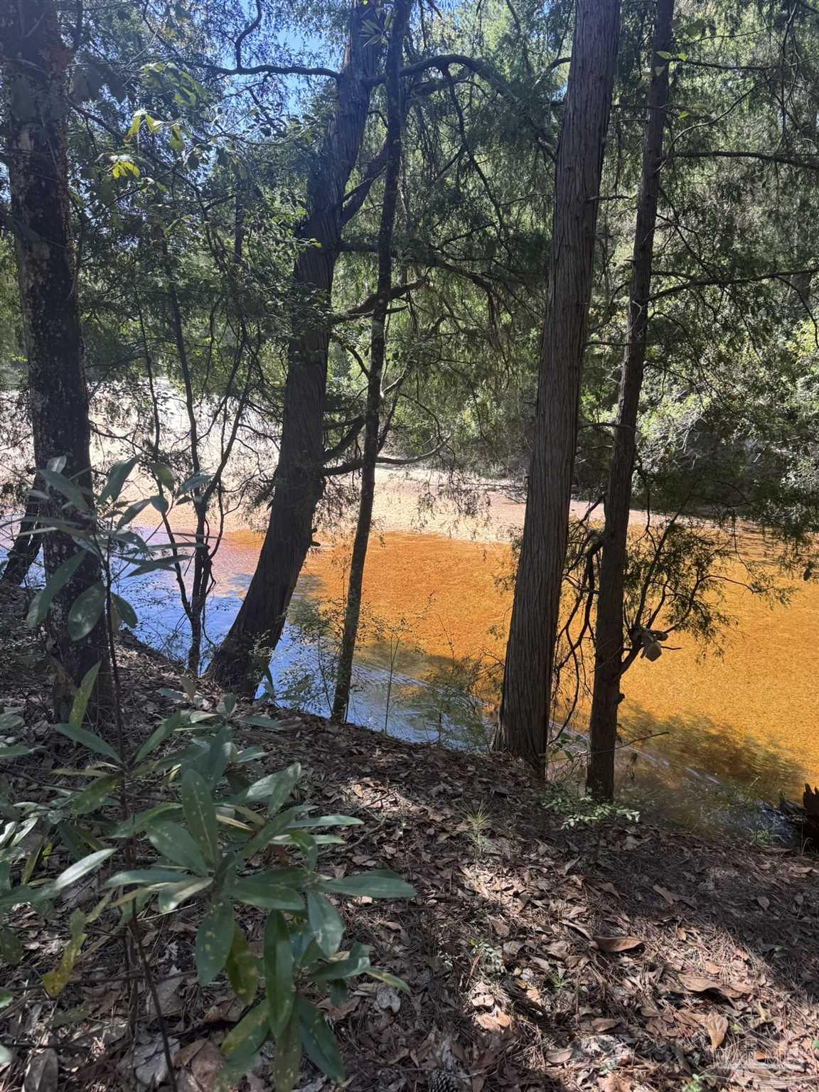 Lot 23 Creek Adventures Ln
