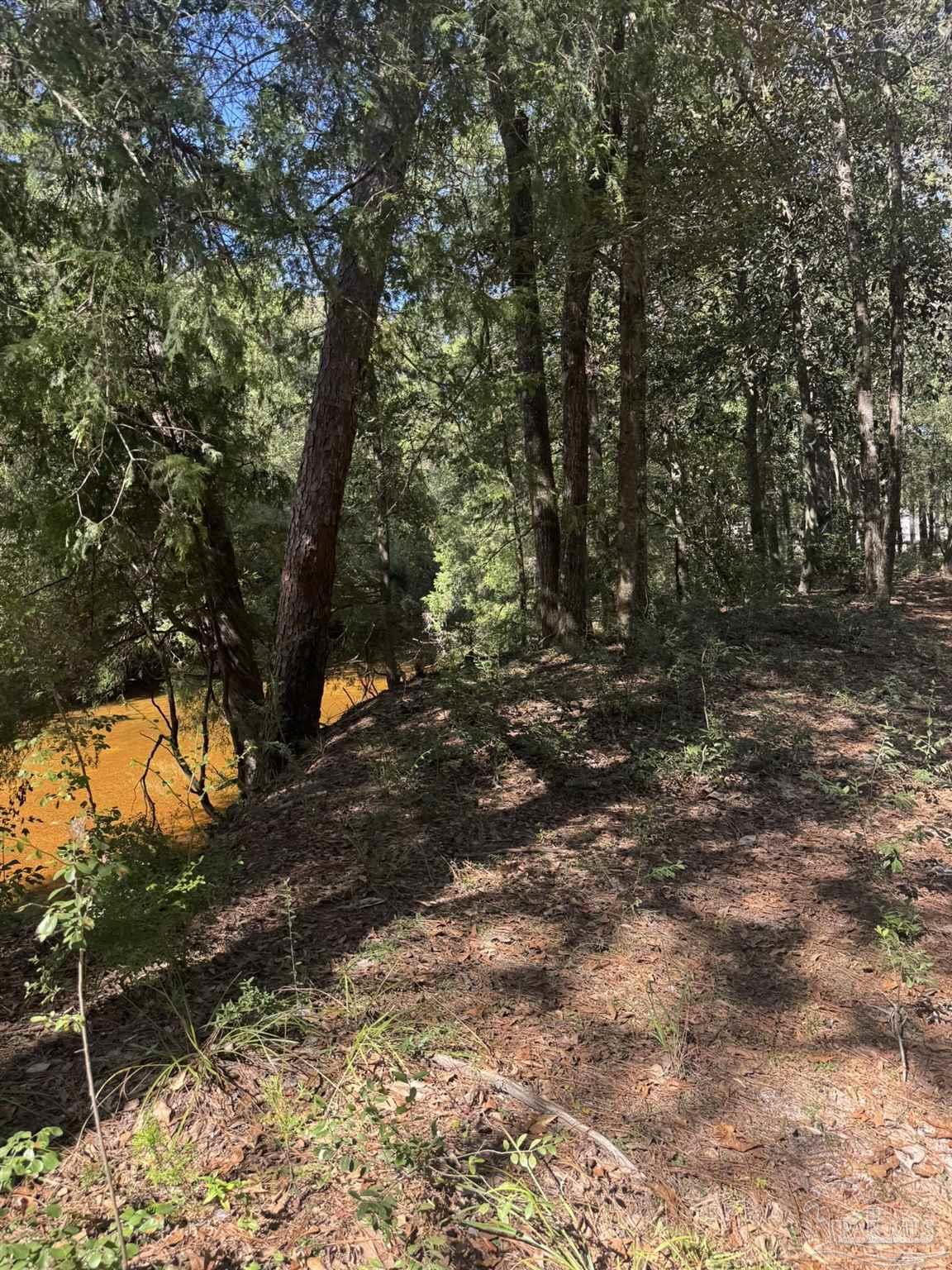 Lot 23 Creek Adventures Ln