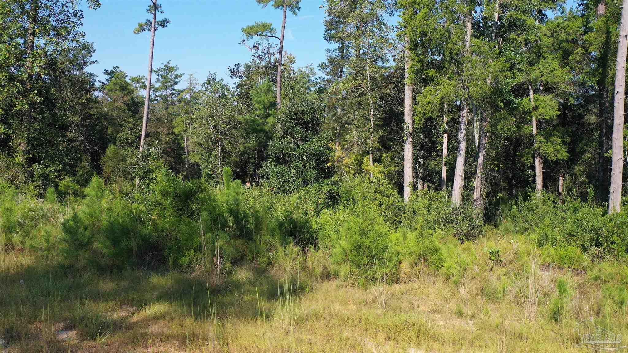 Lot 23 Creek Adventures Ln