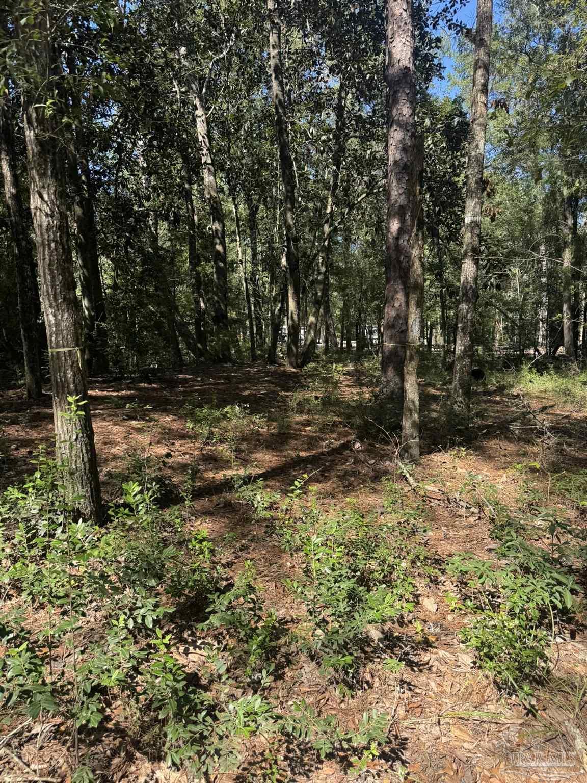 Lot 23 Creek Adventures Ln
