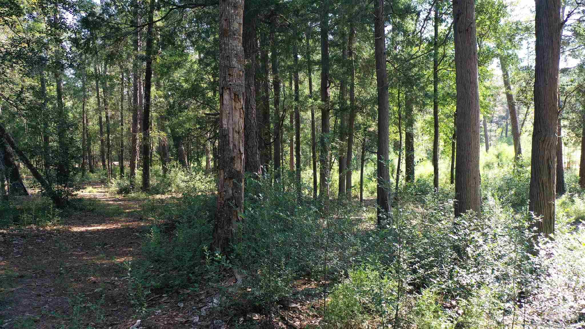 Lot 23 Creek Adventures Ln