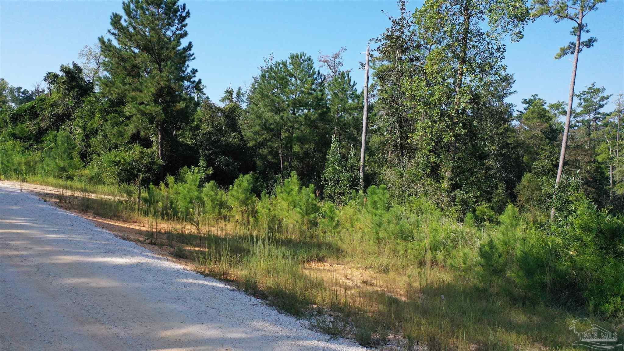 Lot 23 Creek Adventures Ln