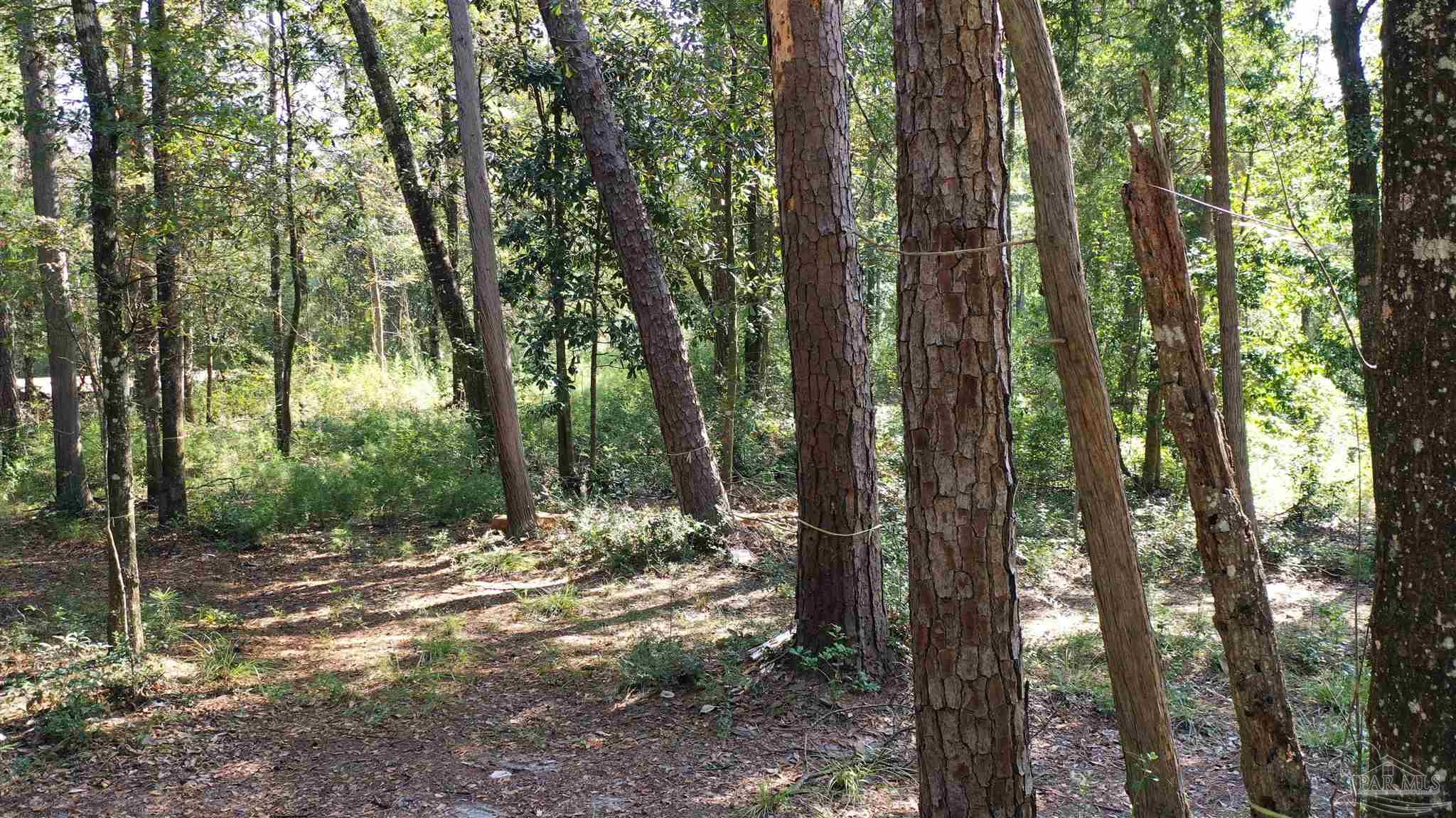 Lot 23 Creek Adventures Ln