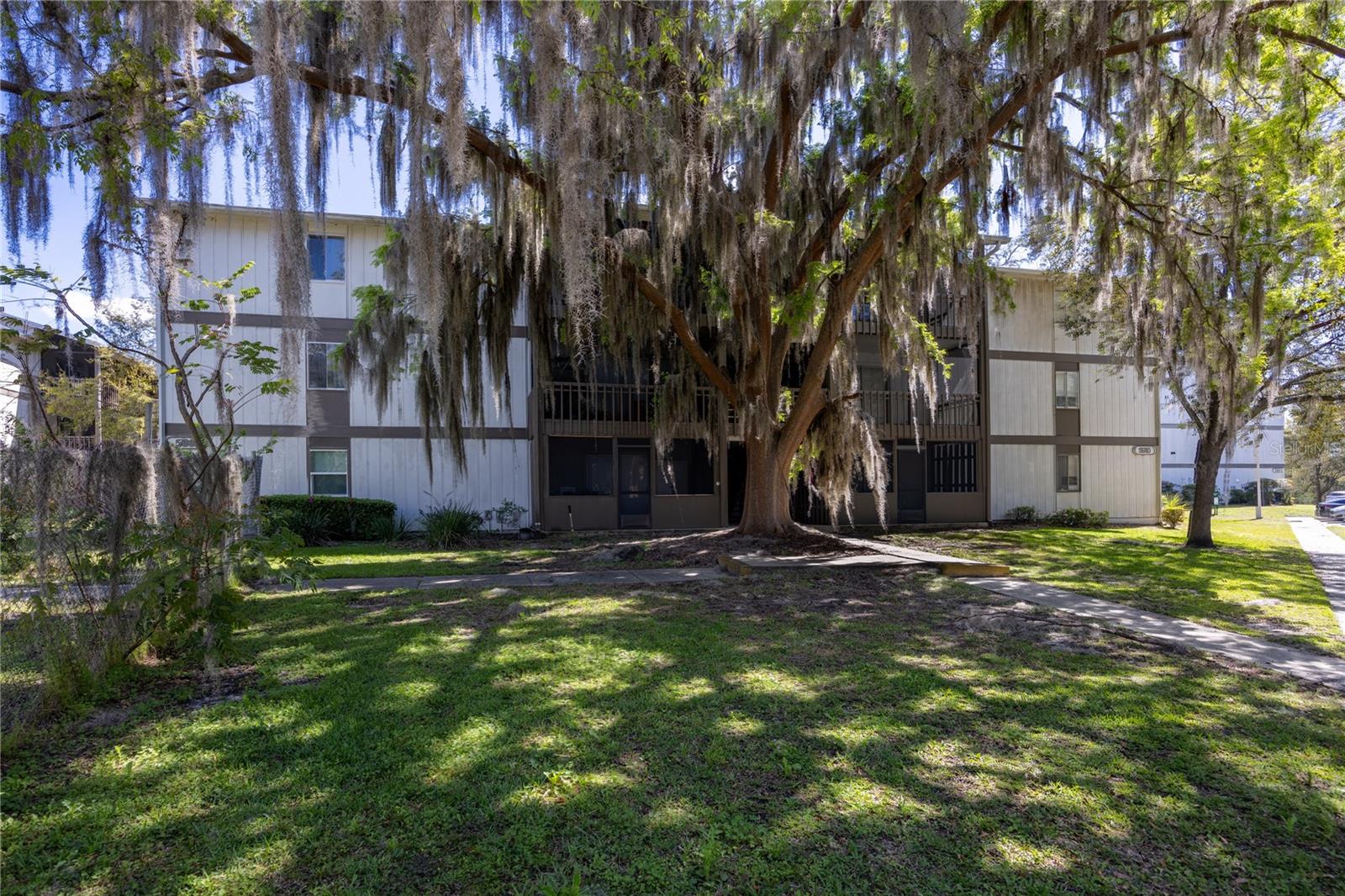 6519 W NEWBERRY RD #503