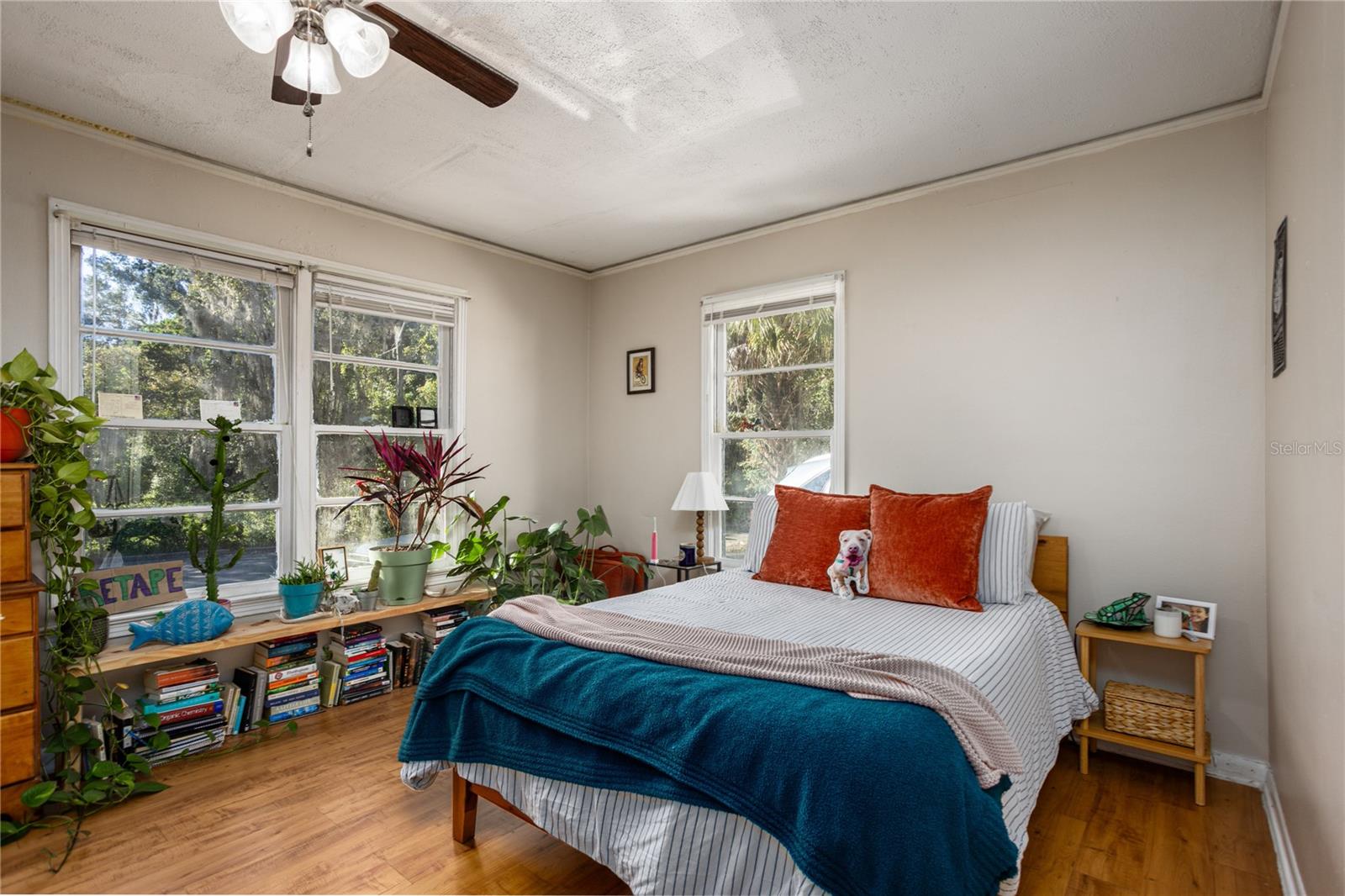 213 NE BLVD BLVD #213-215