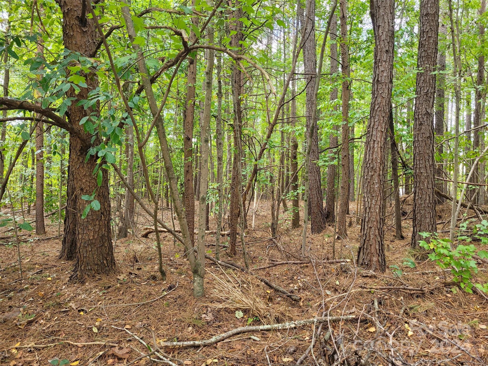 000 Wood Thrush Lane Unit: 27