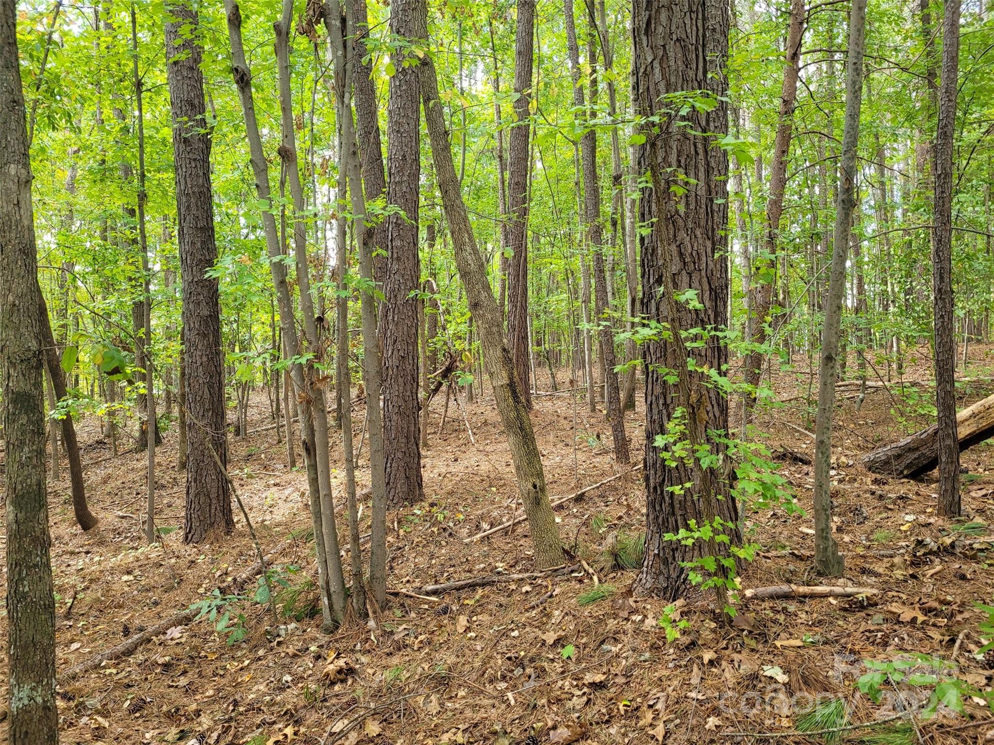000 Wood Thrush Lane Unit: 27