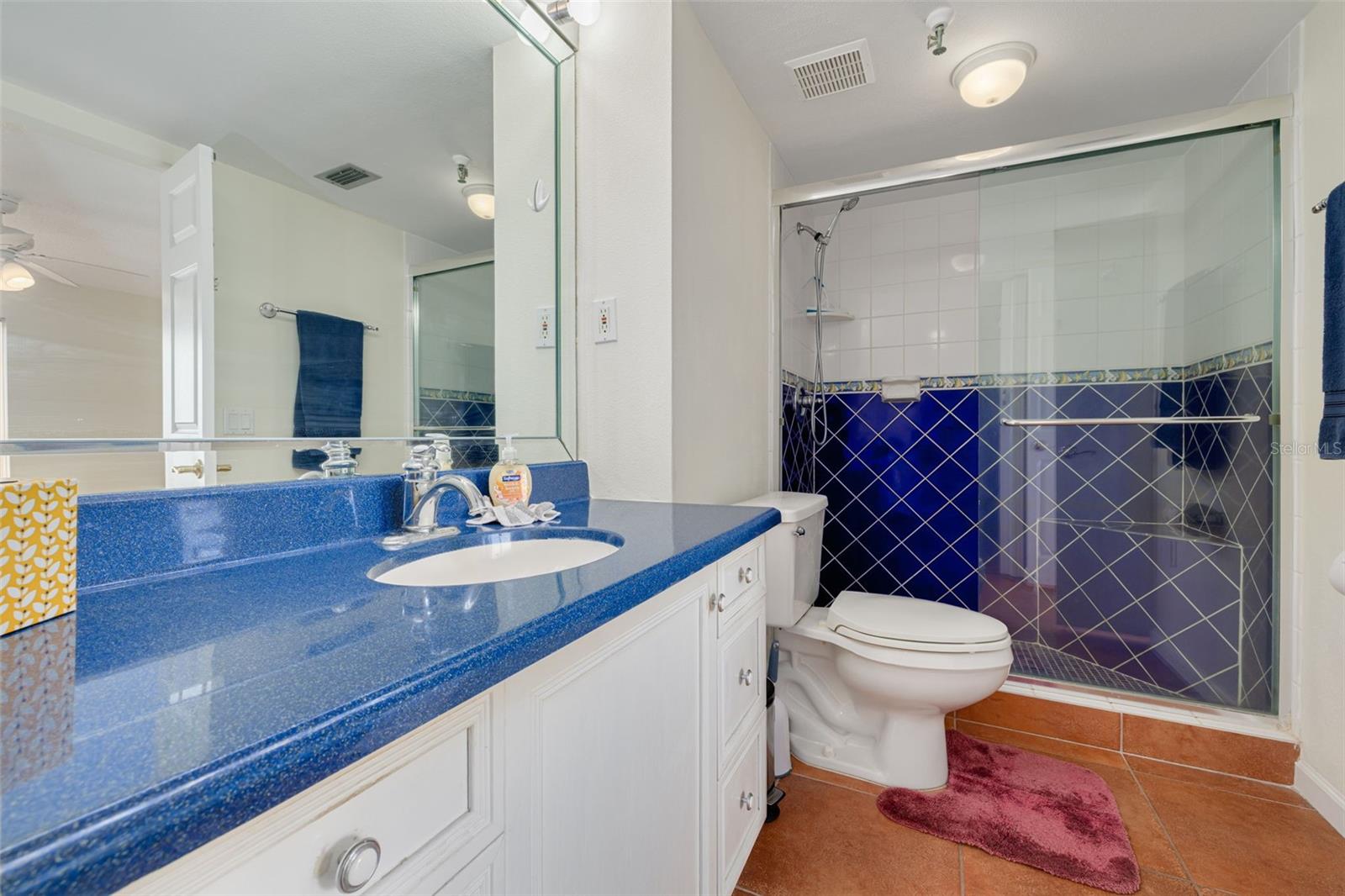 7430 SUNSHINE SKYWAY LN S #704