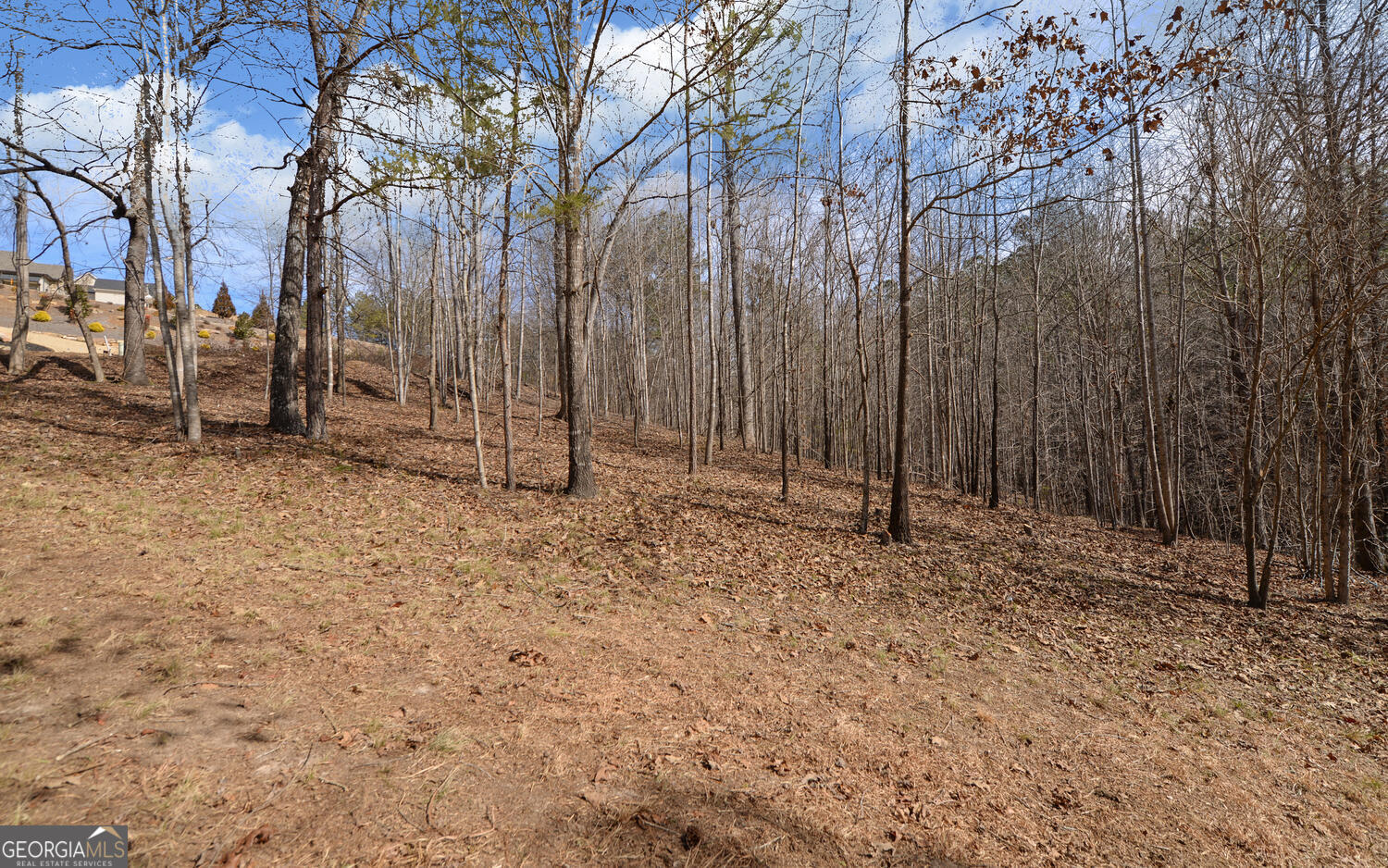 42 Lookout Point