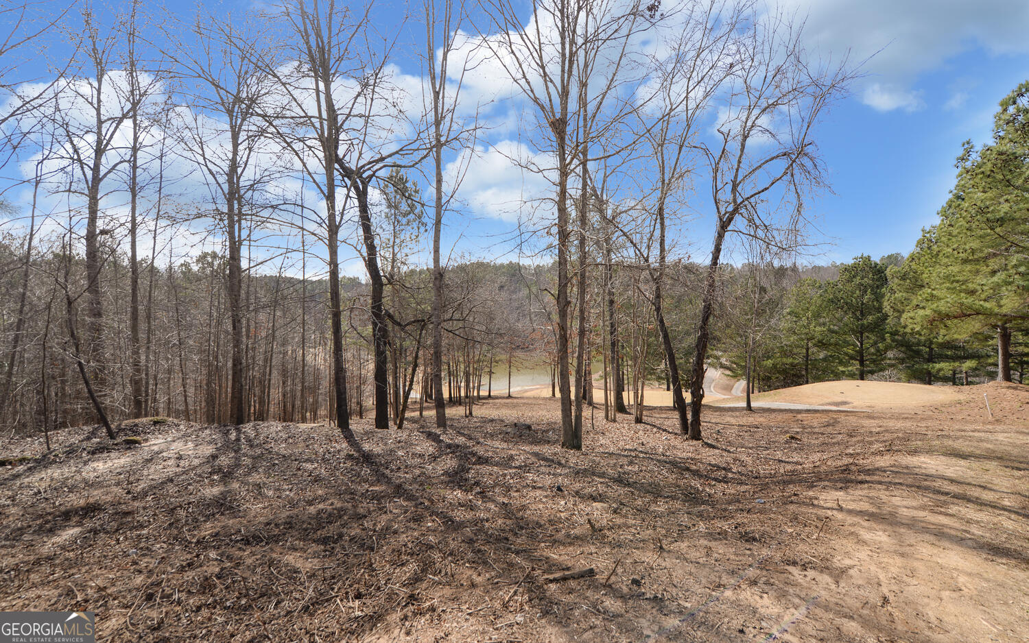 42 Lookout Point