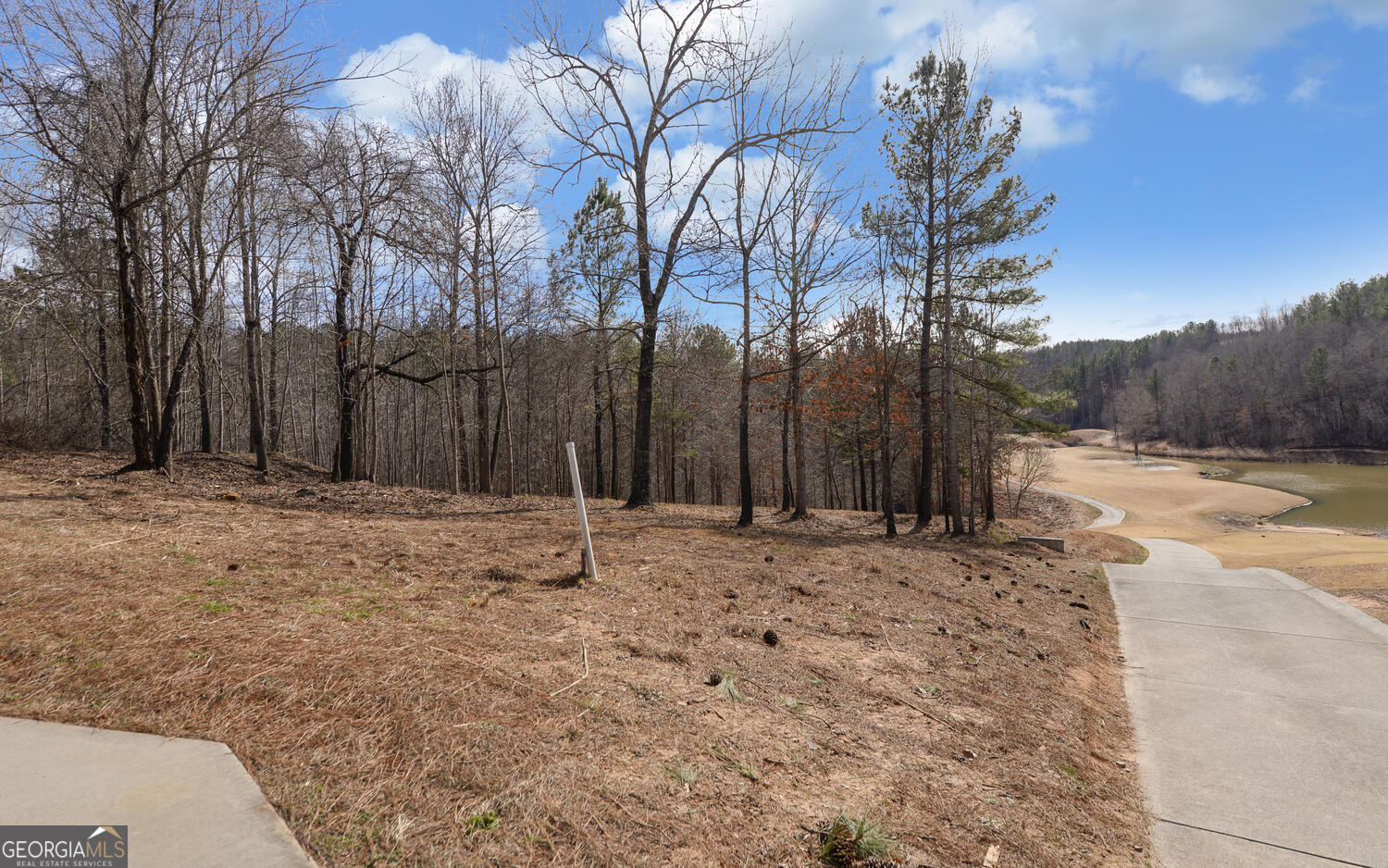 42 Lookout Point
