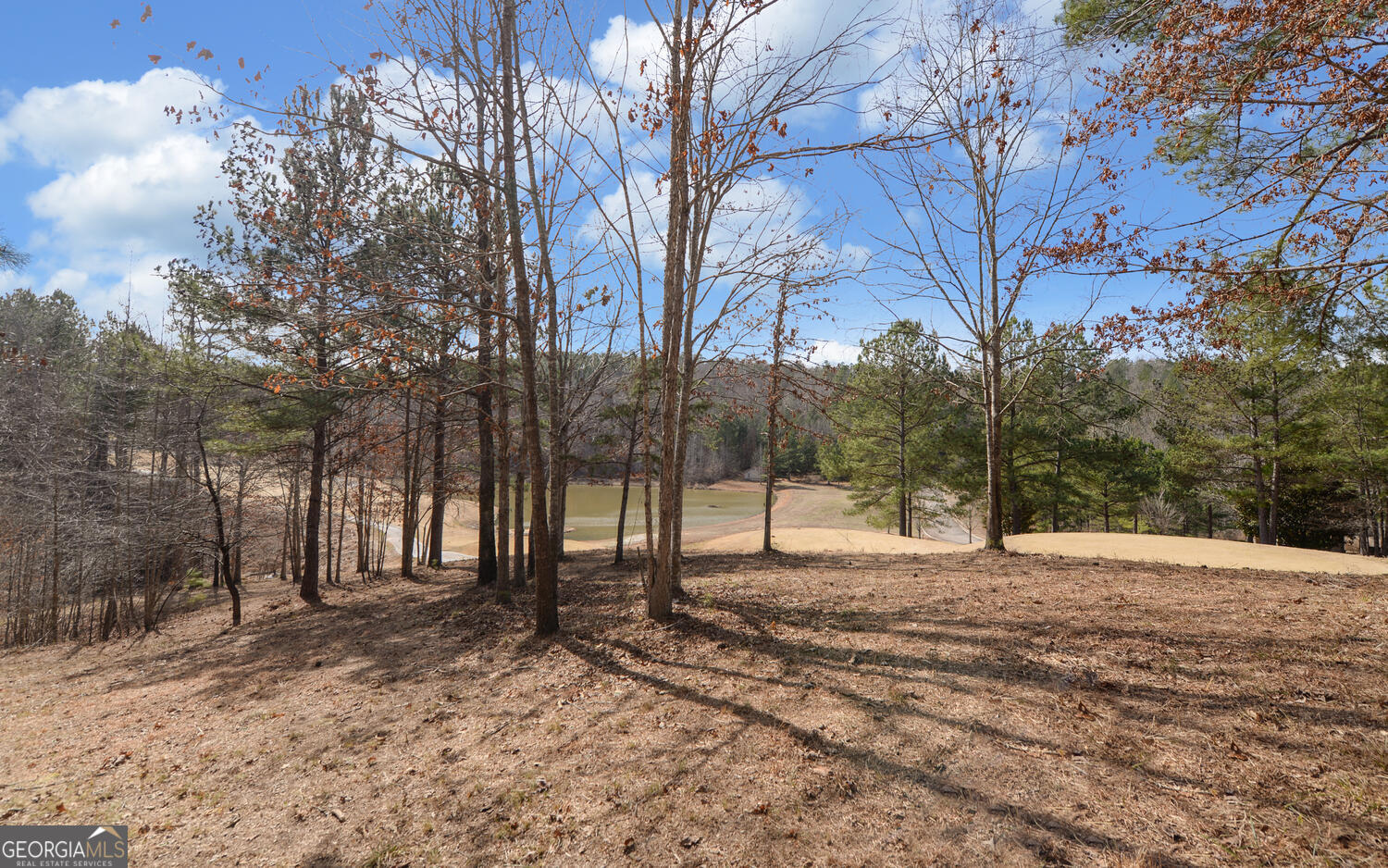 42 Lookout Point