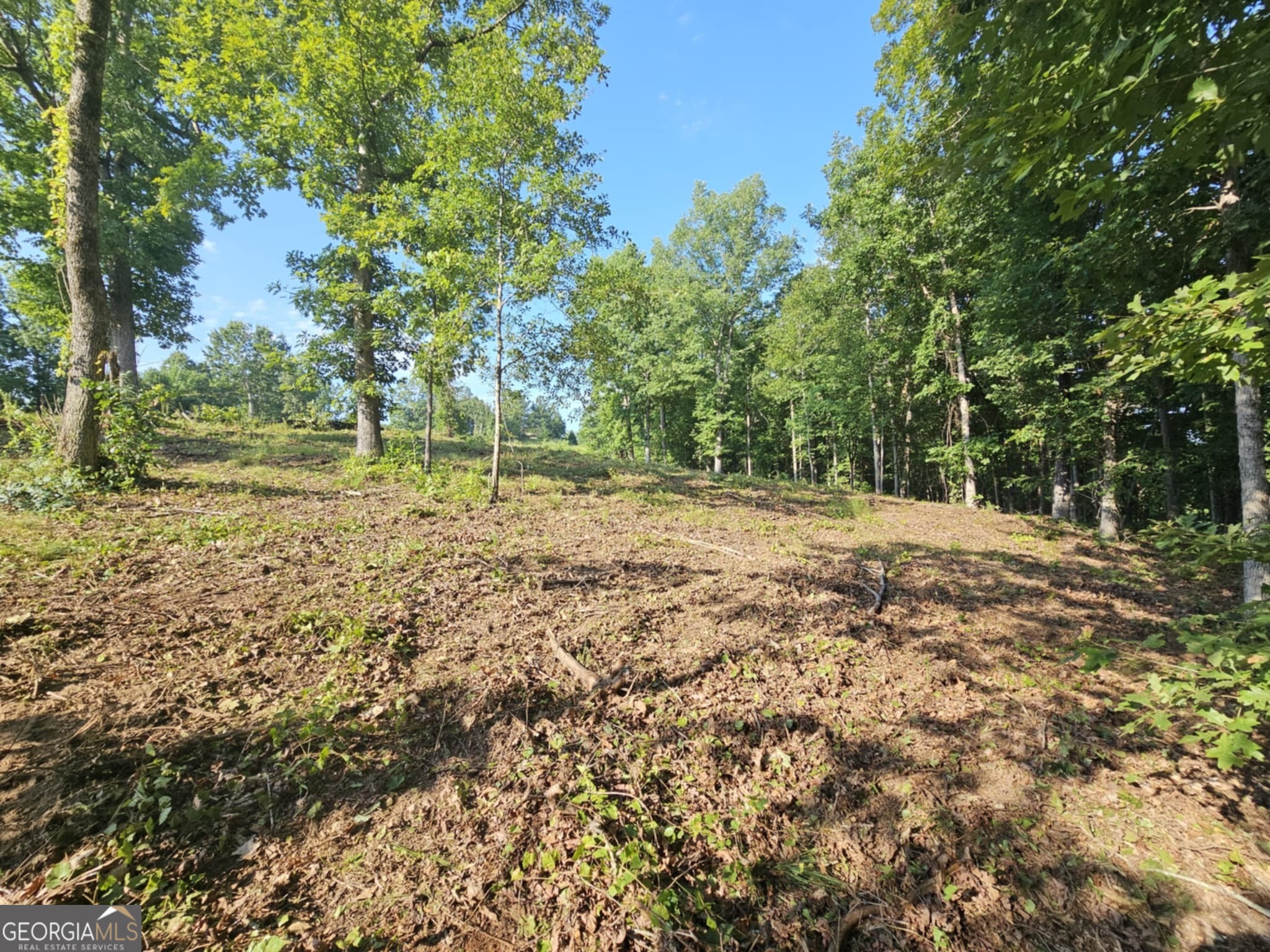 237 Southern Trace