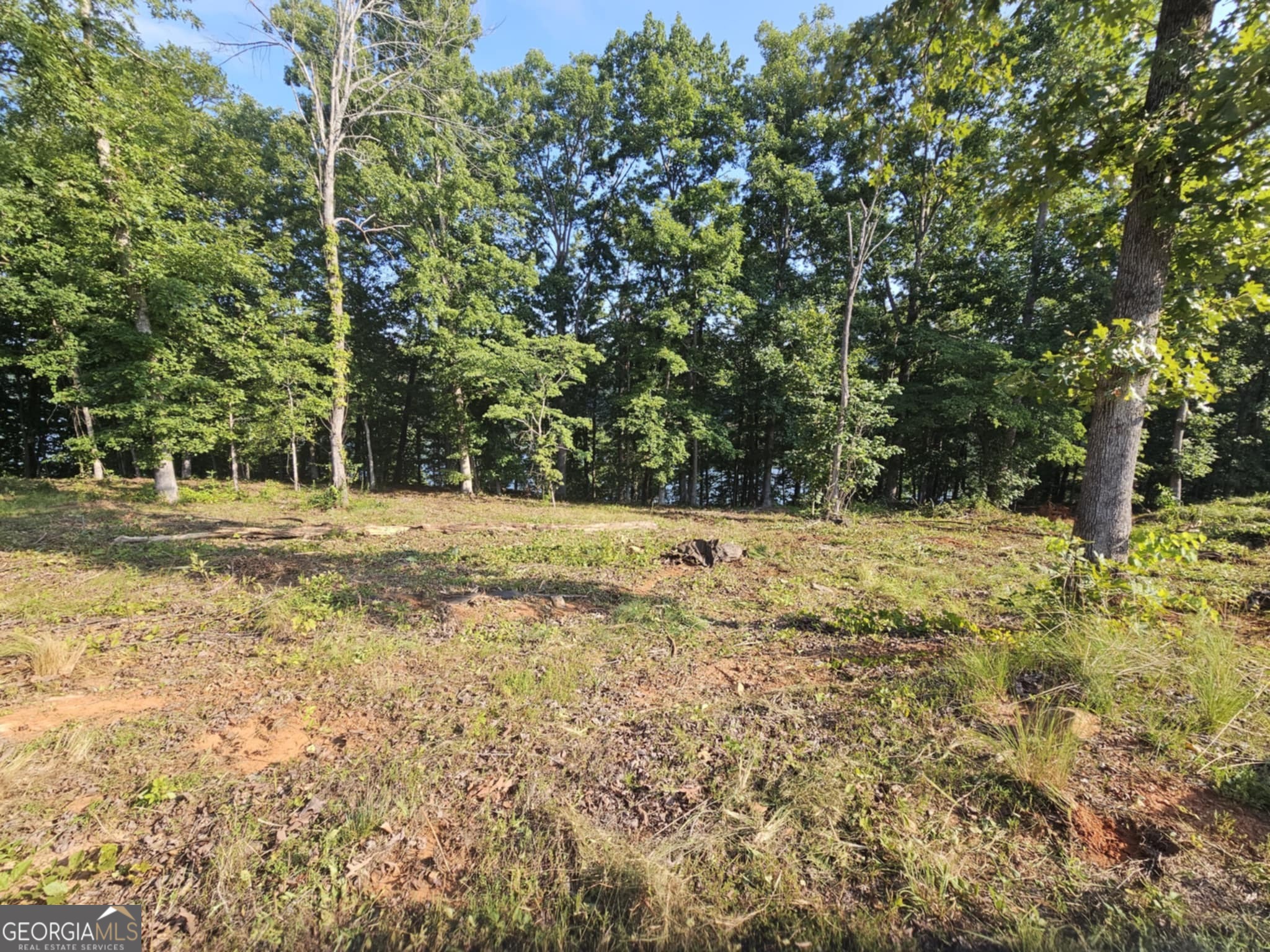 237 Southern Trace