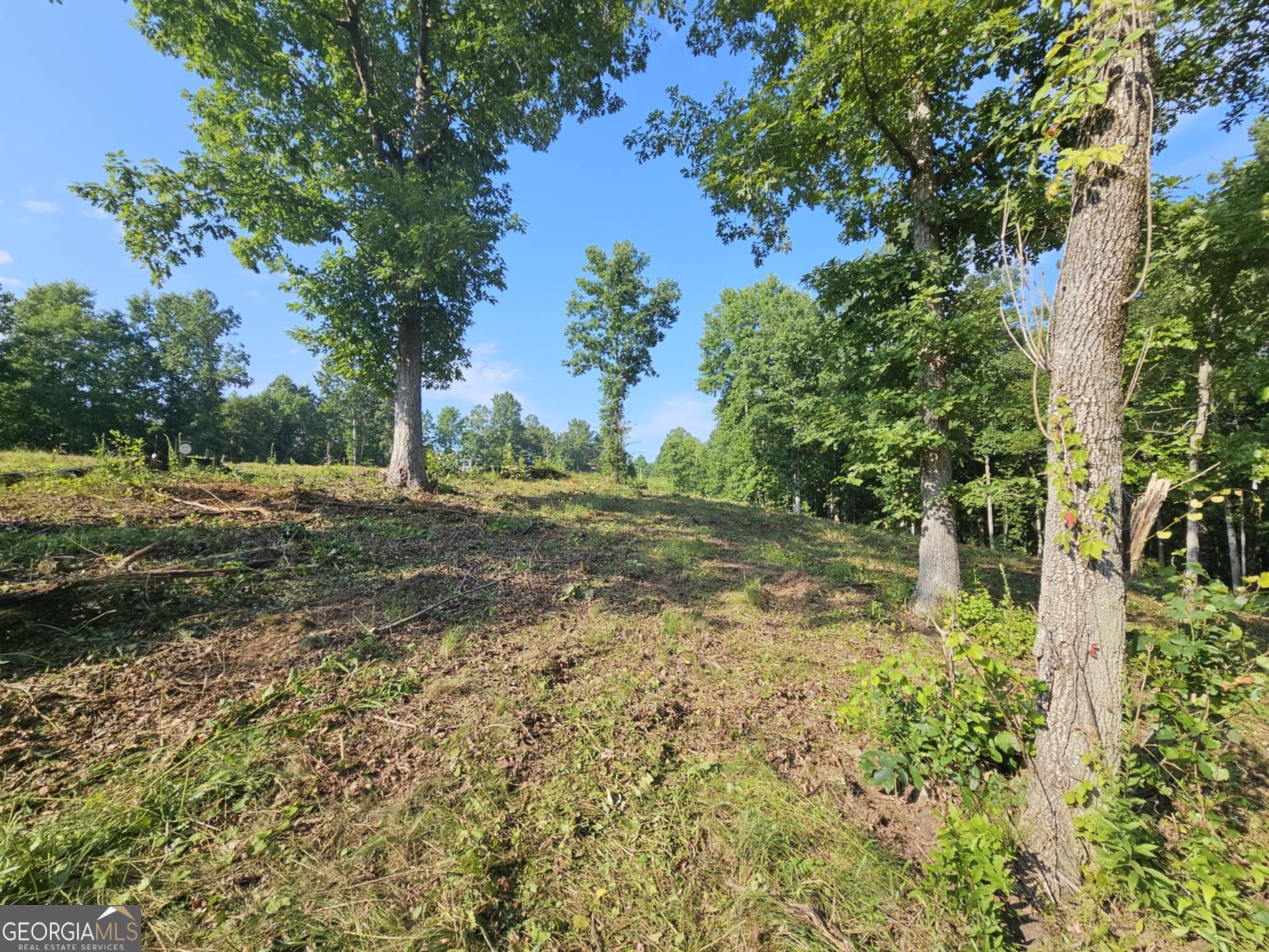 255 Southern Trace