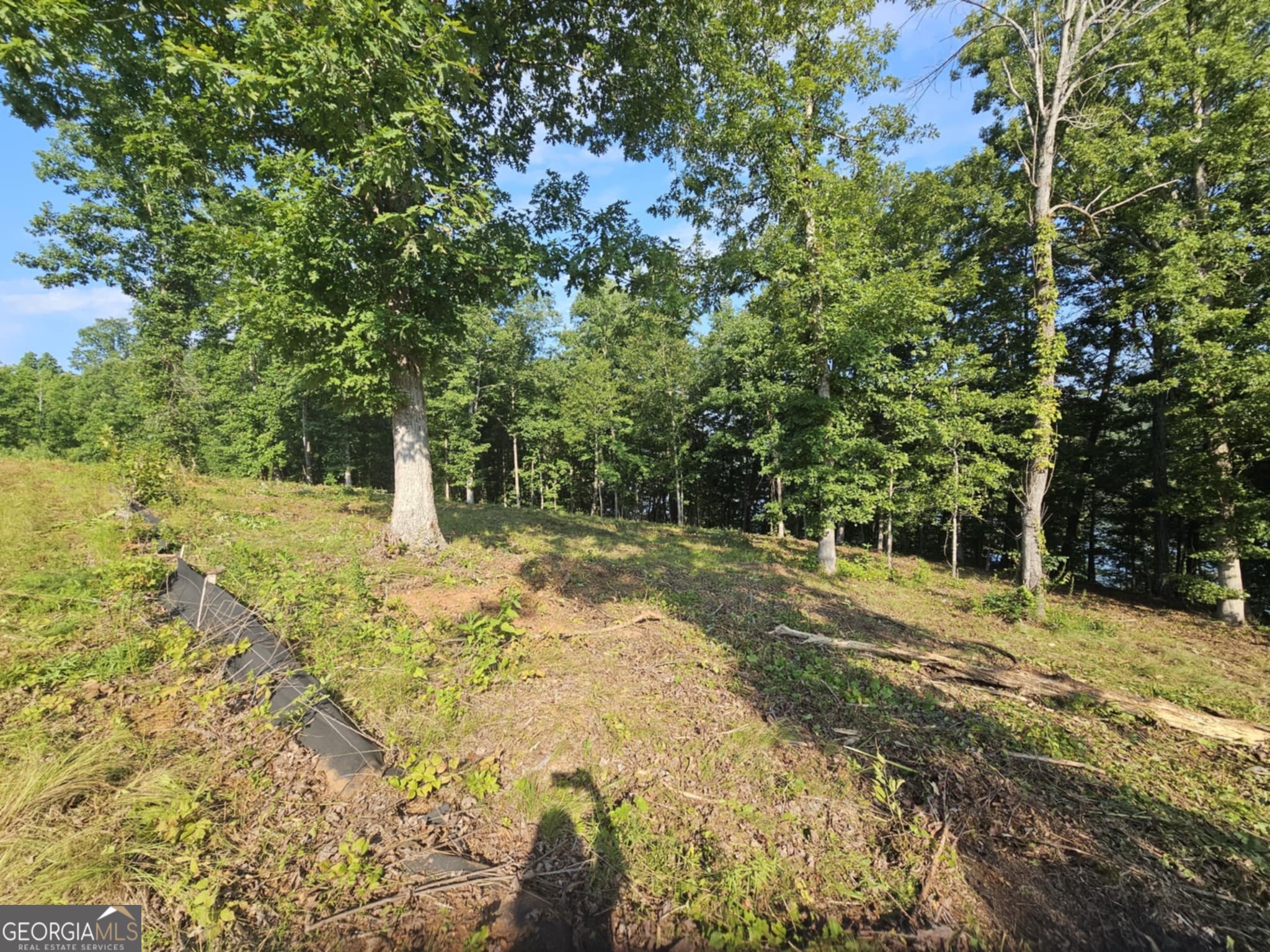 255 Southern Trace