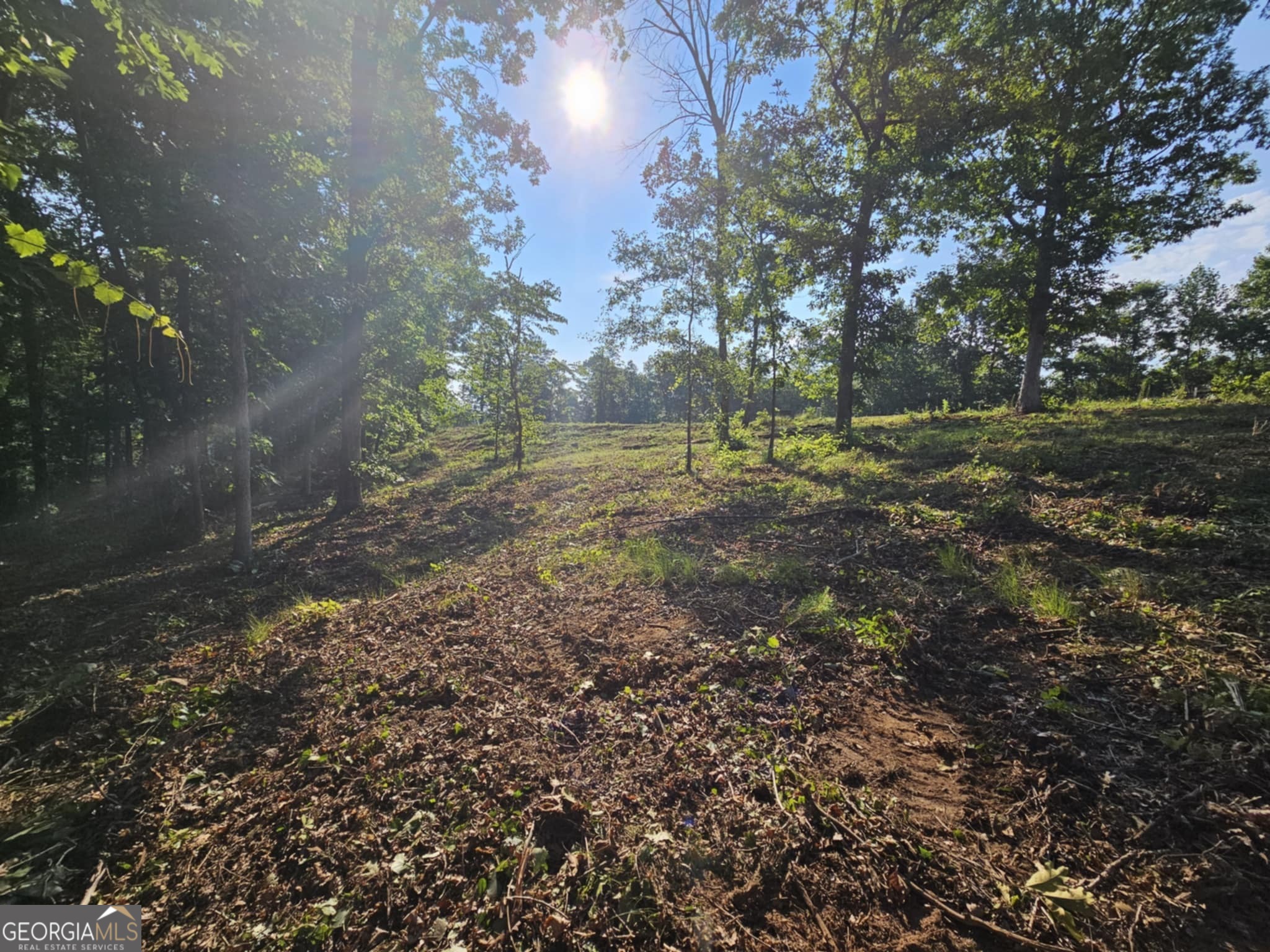 255 Southern Trace