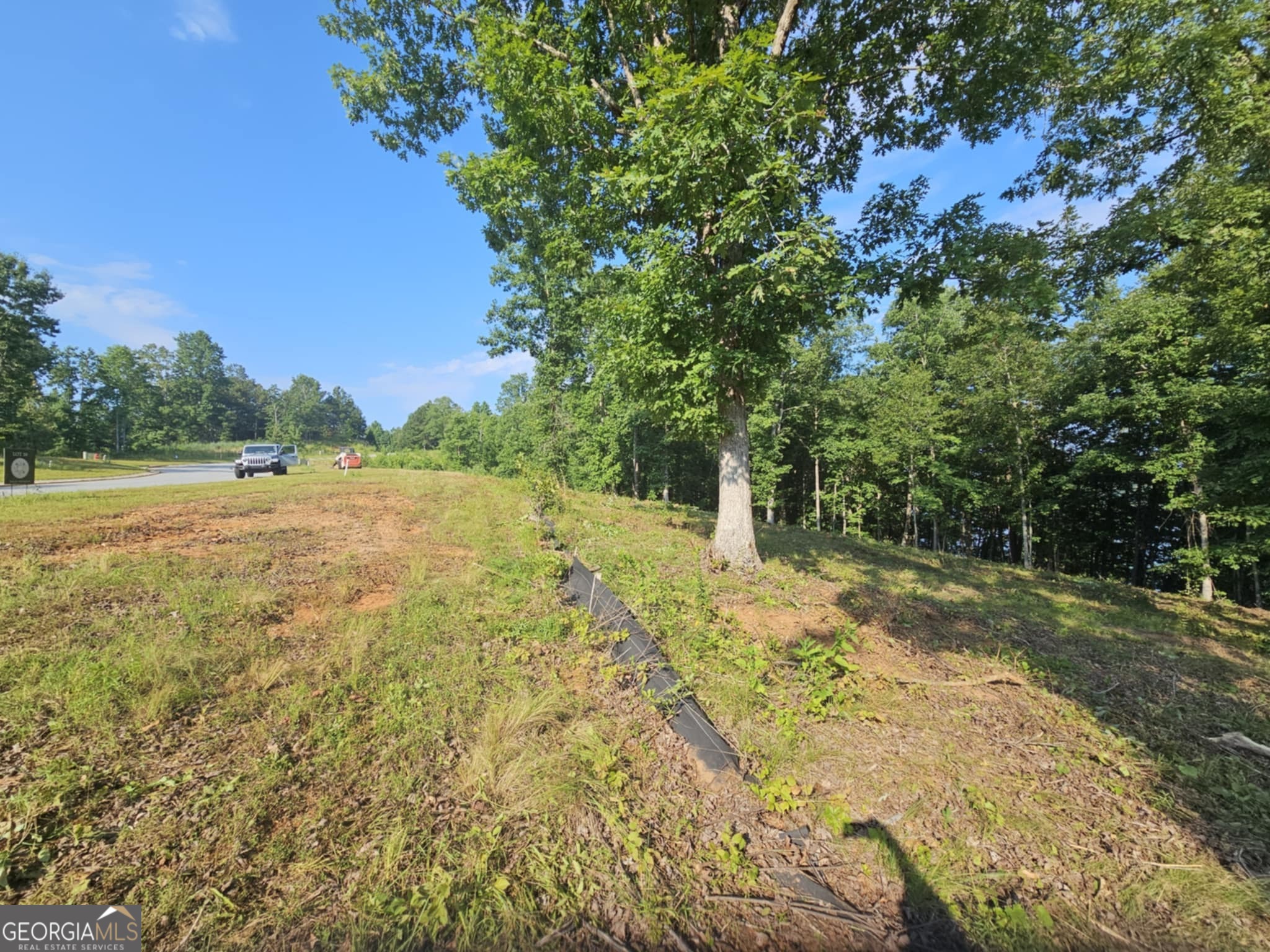 255 Southern Trace