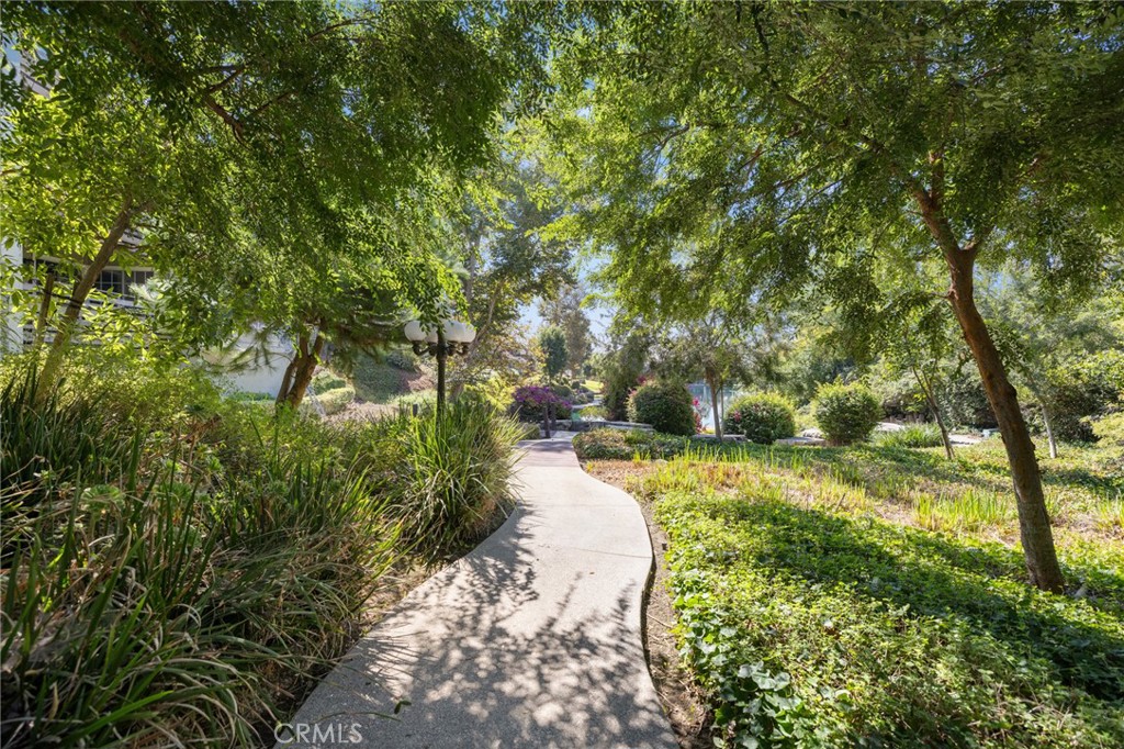 1053 Lakeview