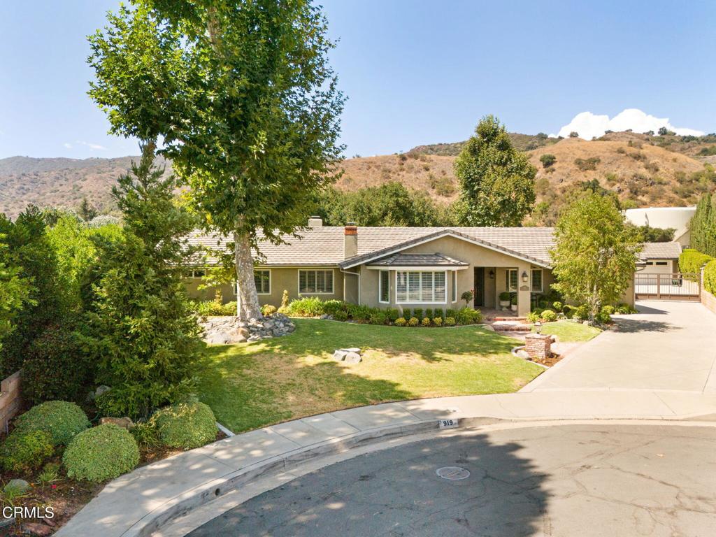 919 Willow Springs Lane