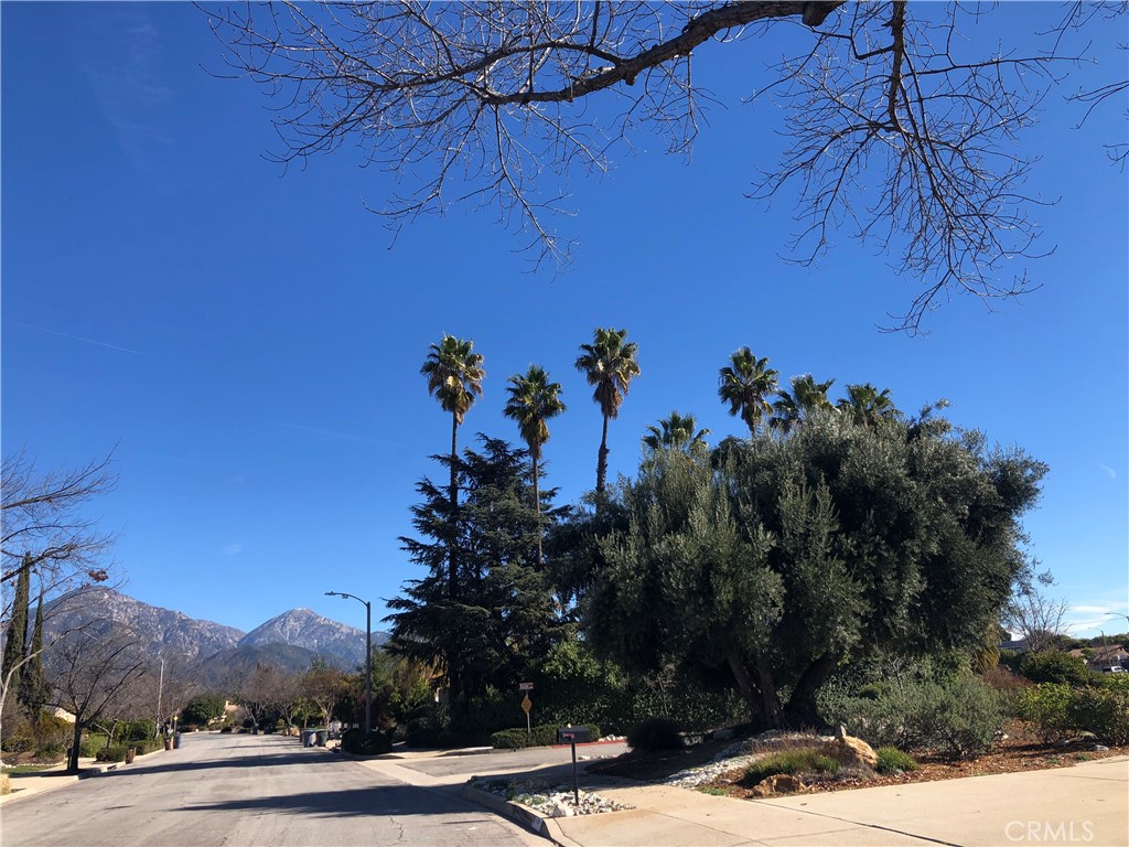 310 Armstrong Drive