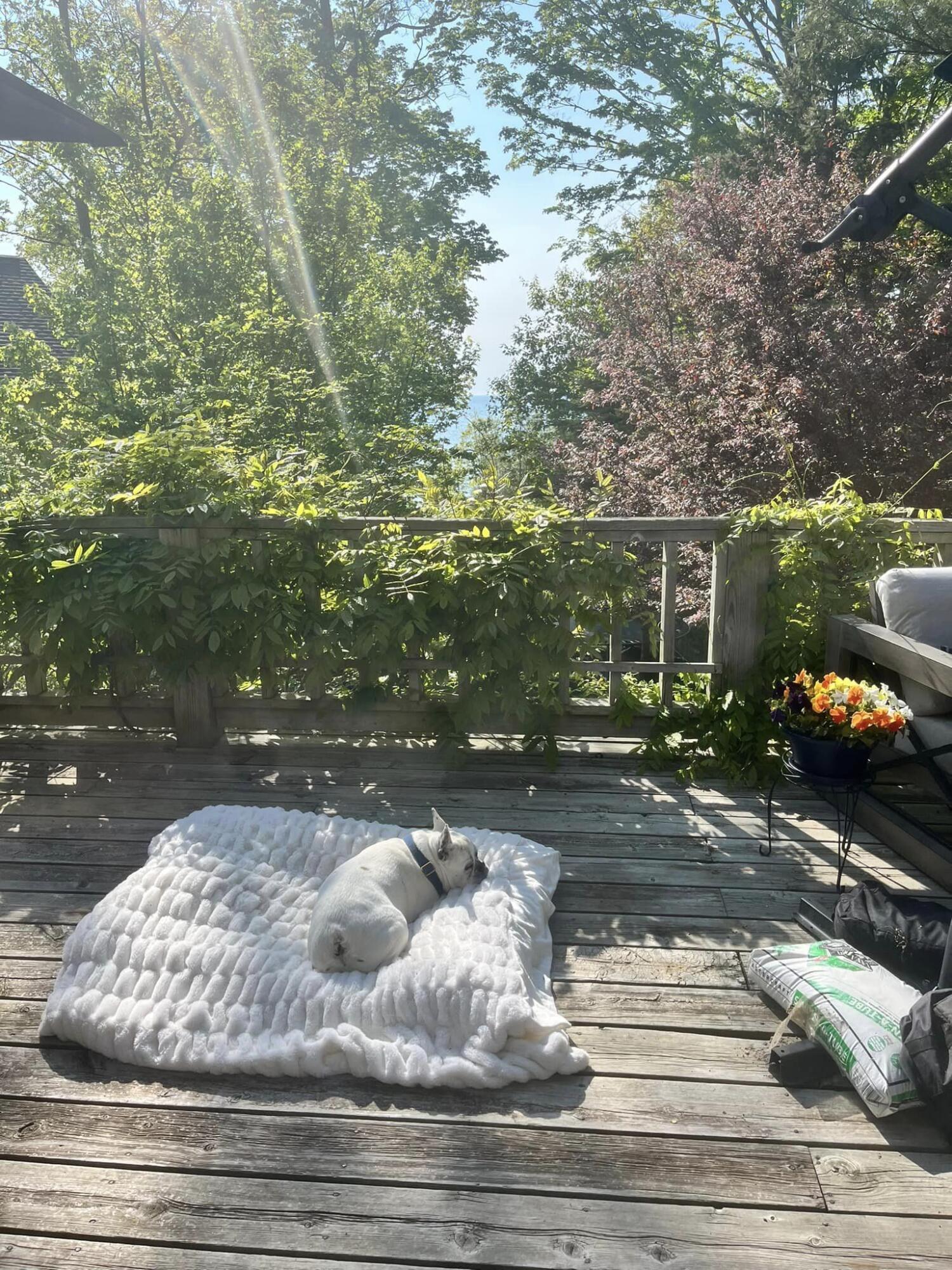 7183 Lakeview Terrace