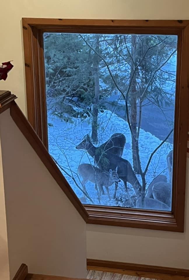 7183 Lakeview Terrace