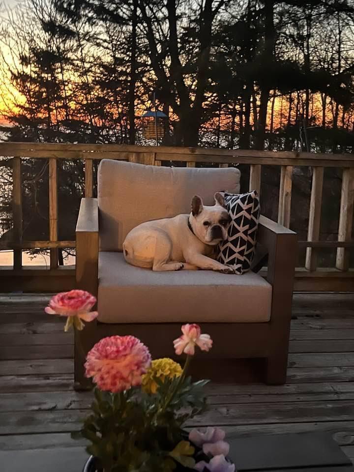 7183 Lakeview Terrace