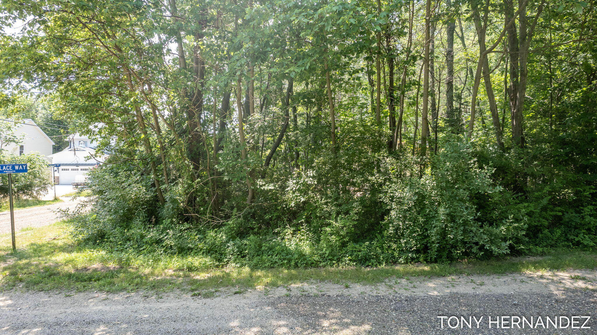 Lot 15 Maple Street