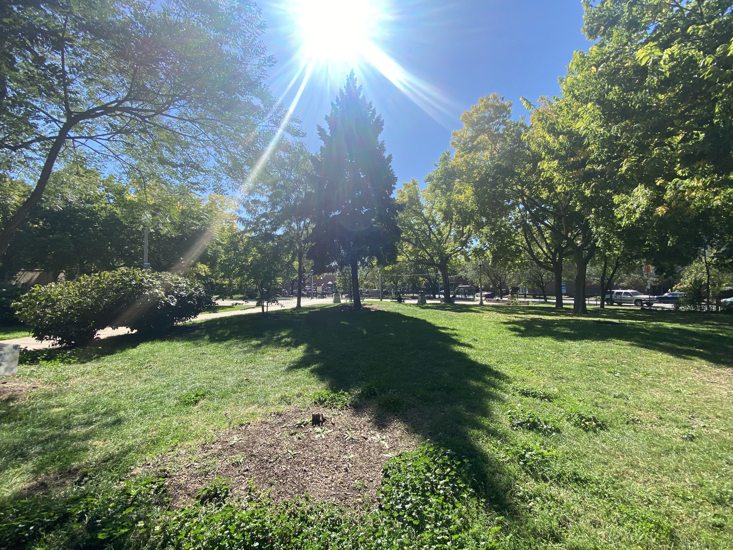 920 W Margate Terrace Unit: 3W