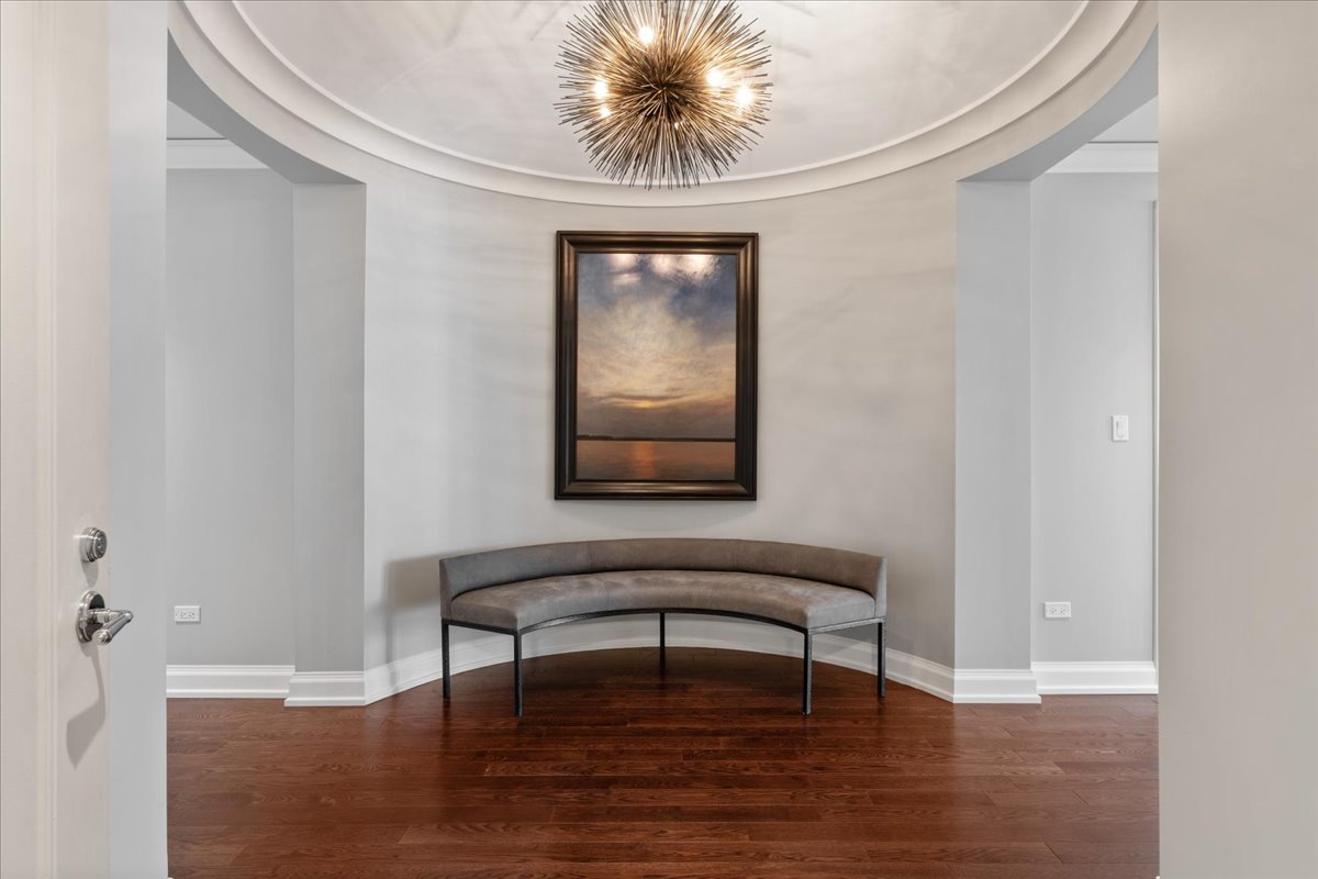 11 E Walton Street Unit: 3202