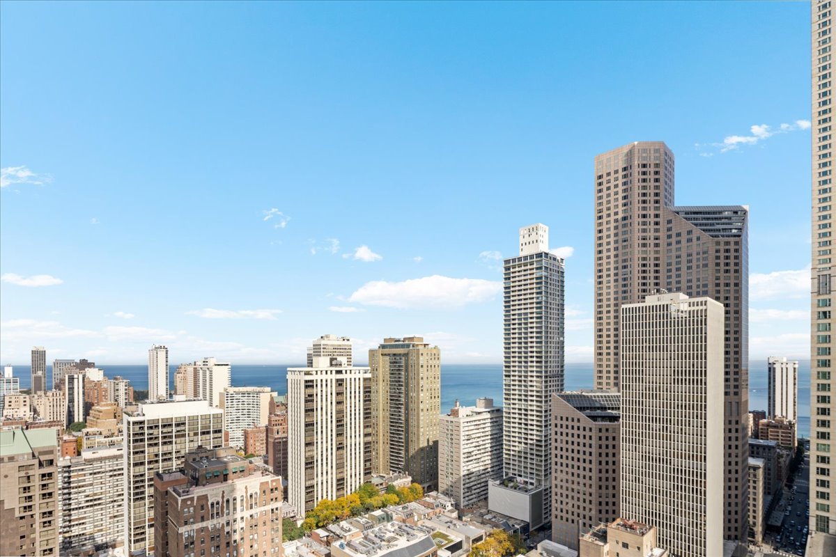 11 E Walton Street Unit: 3202