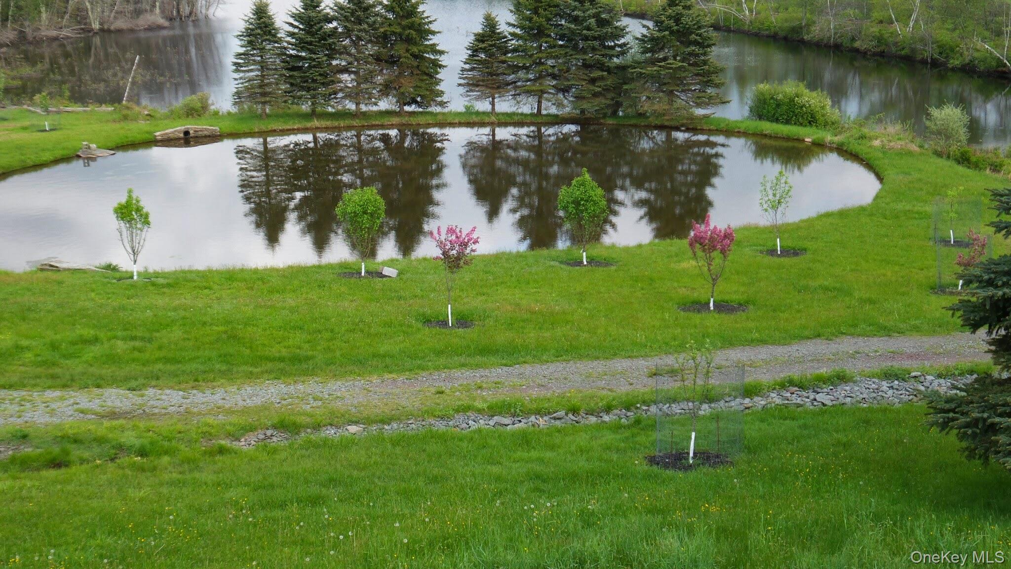 75 Krum Road Unit: 77